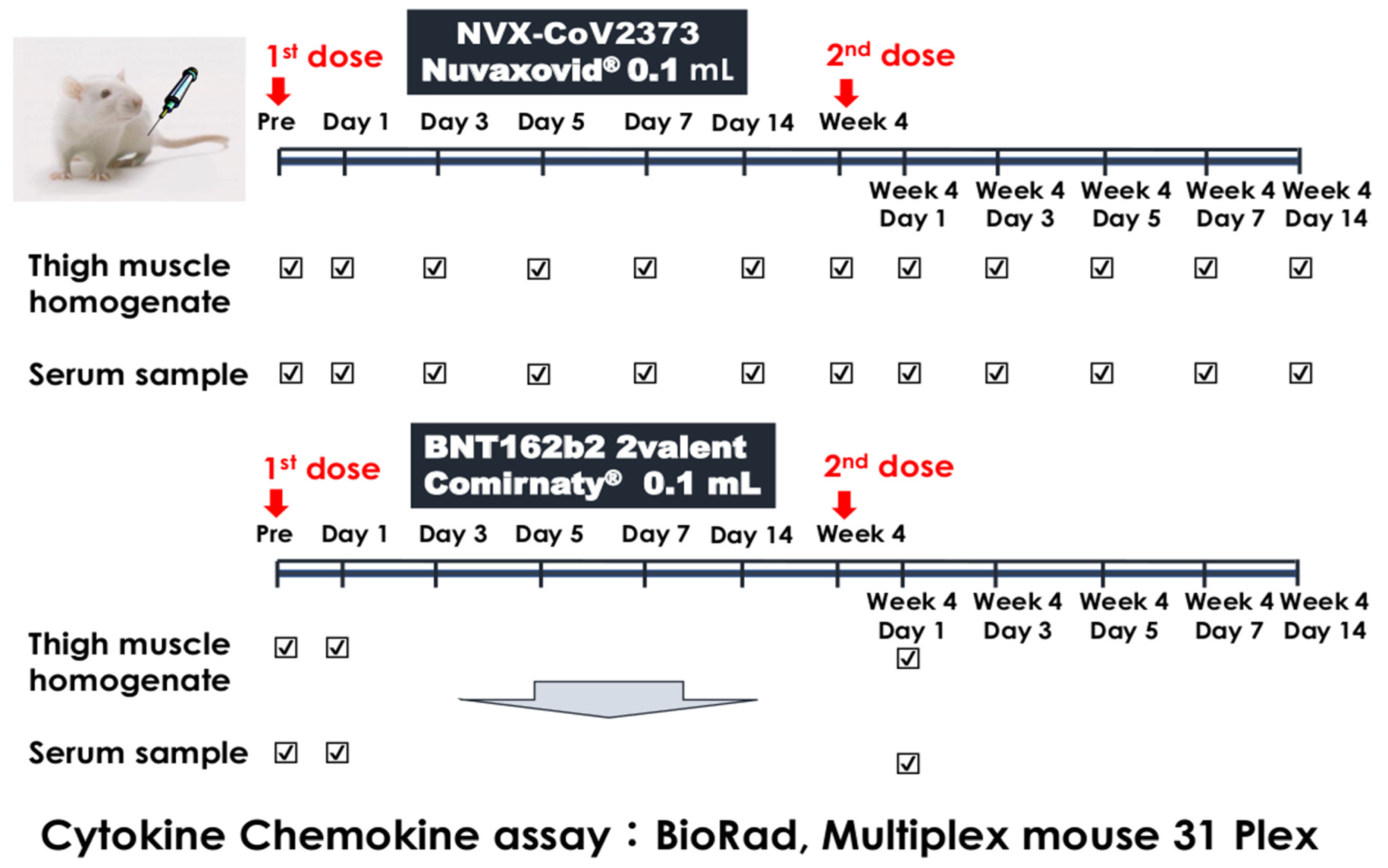 Vaccines 11 01677 g001