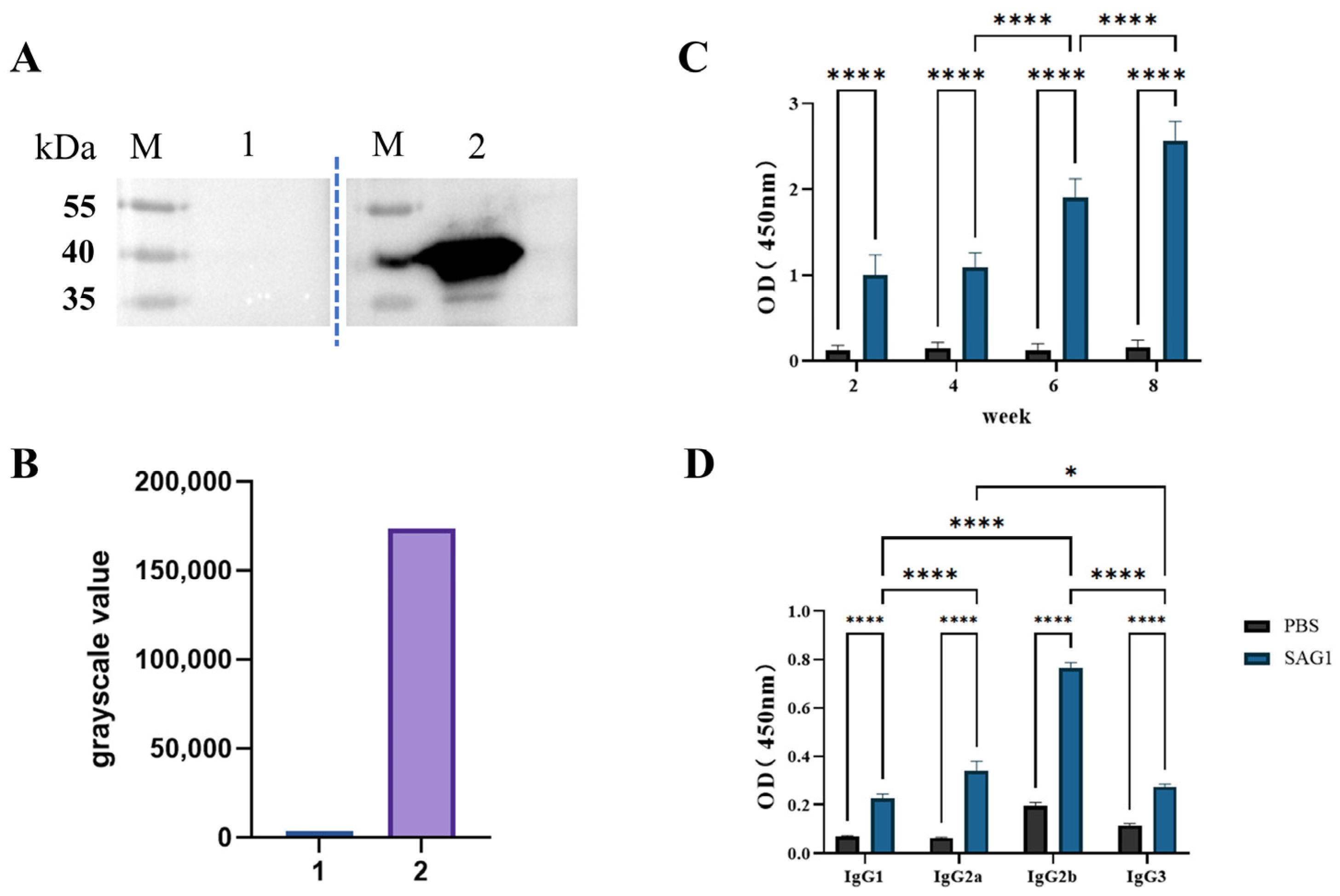 Vaccines 11 01678 g002 Vaccines 11 01678 g002
