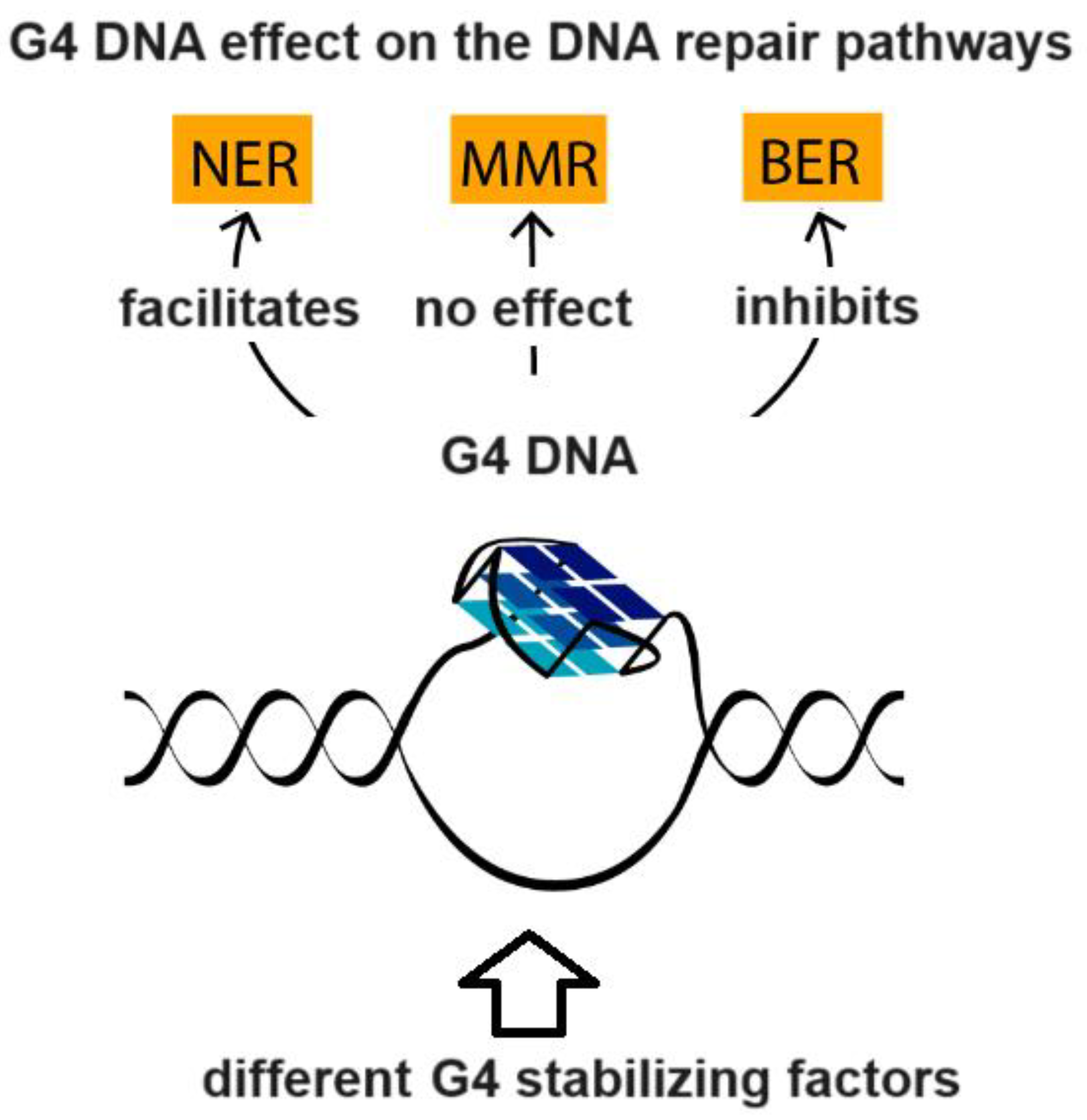 Vaccines 11 01706 g004