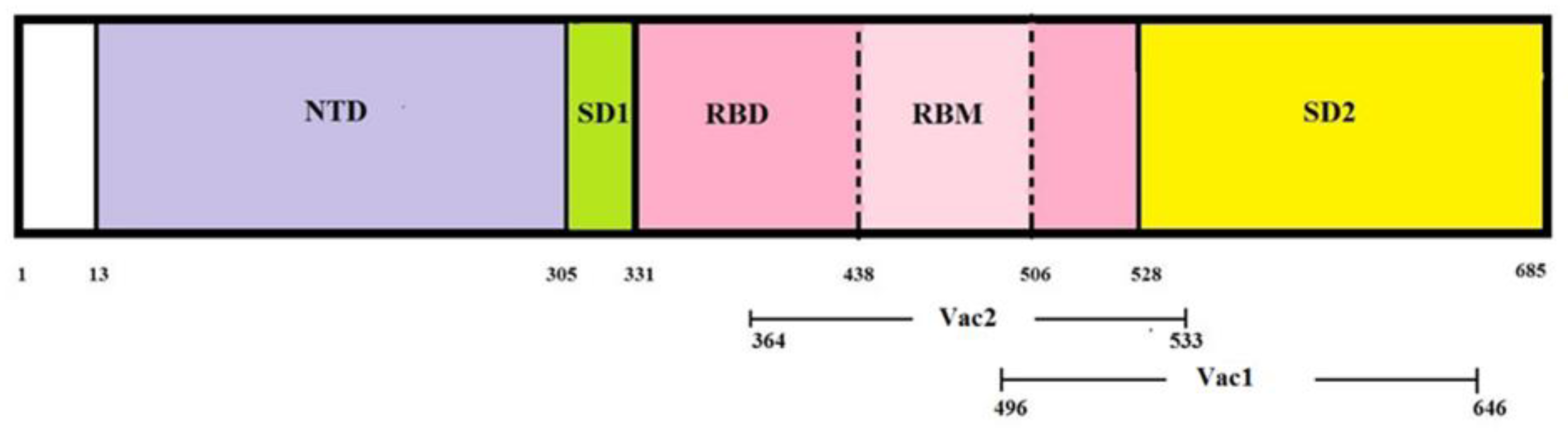 Vaccines 11 01714 g002