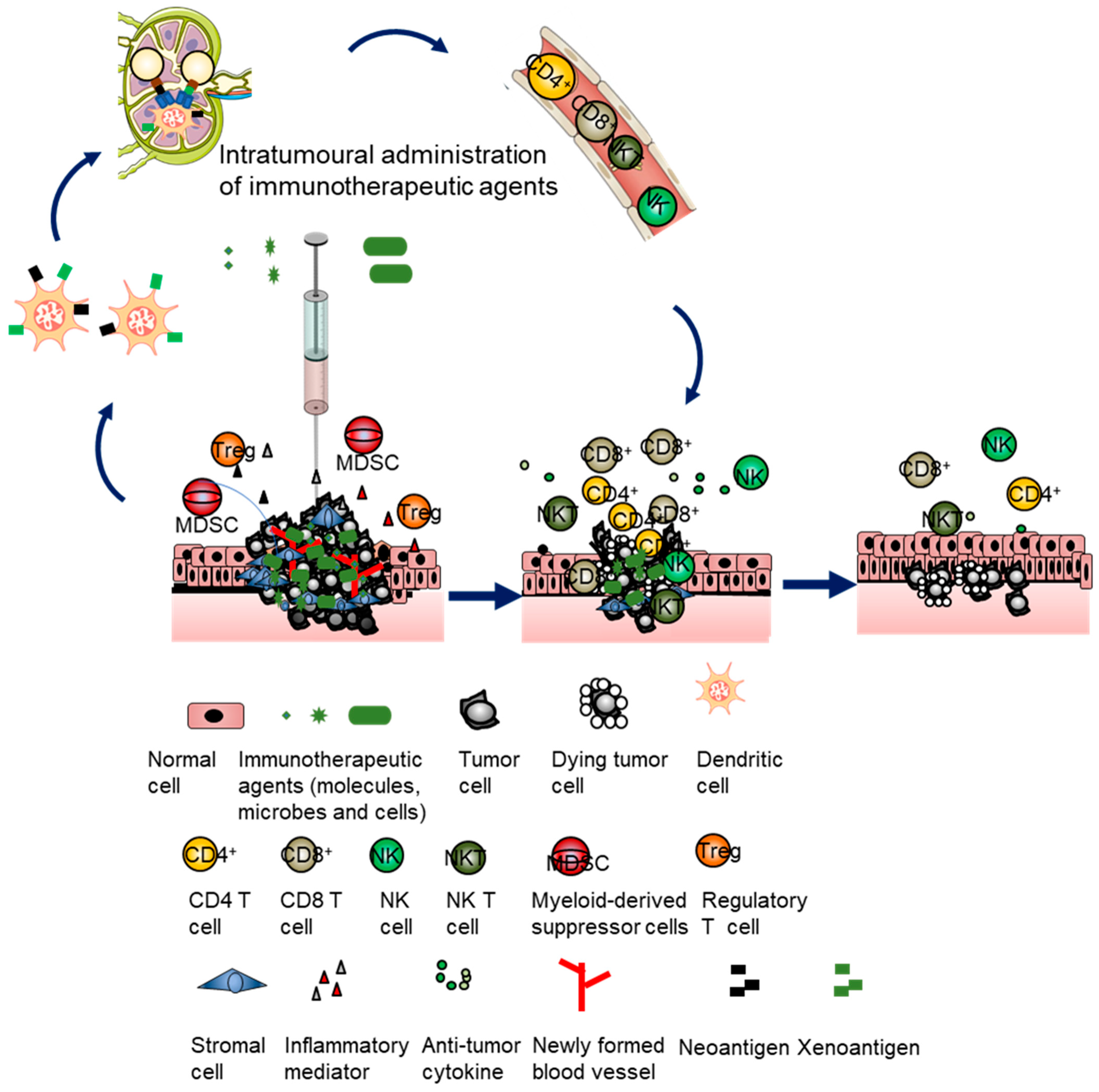 Vaccines 11 01717 g002