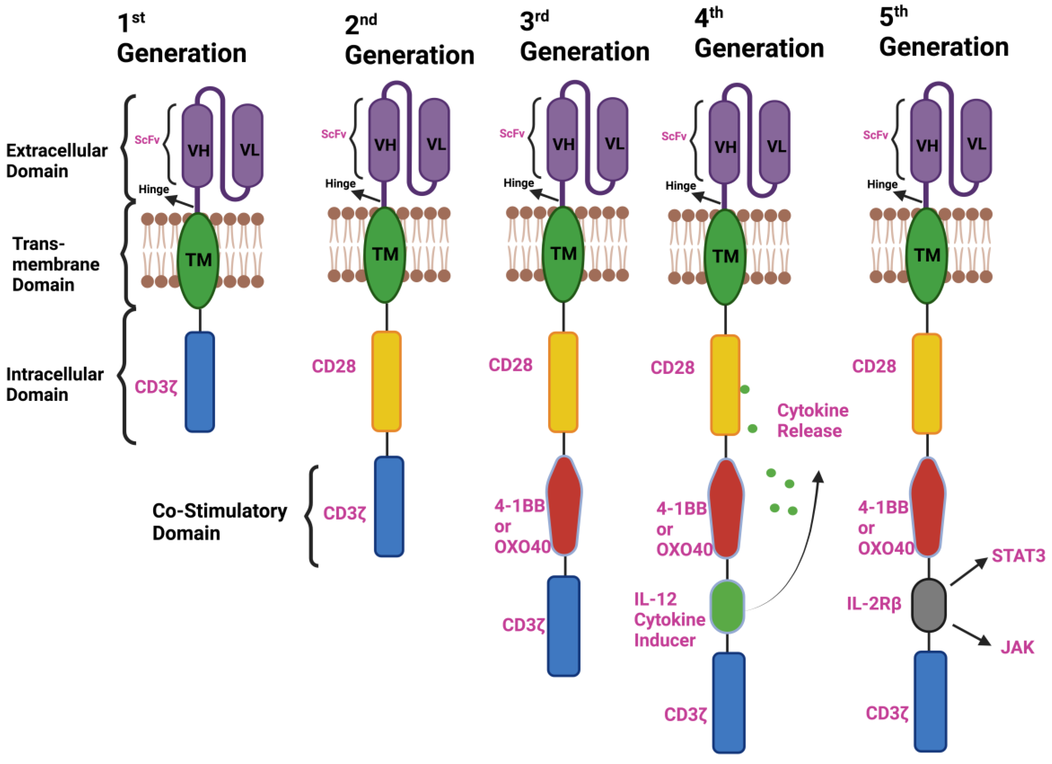 Vaccines 11 01721 g001