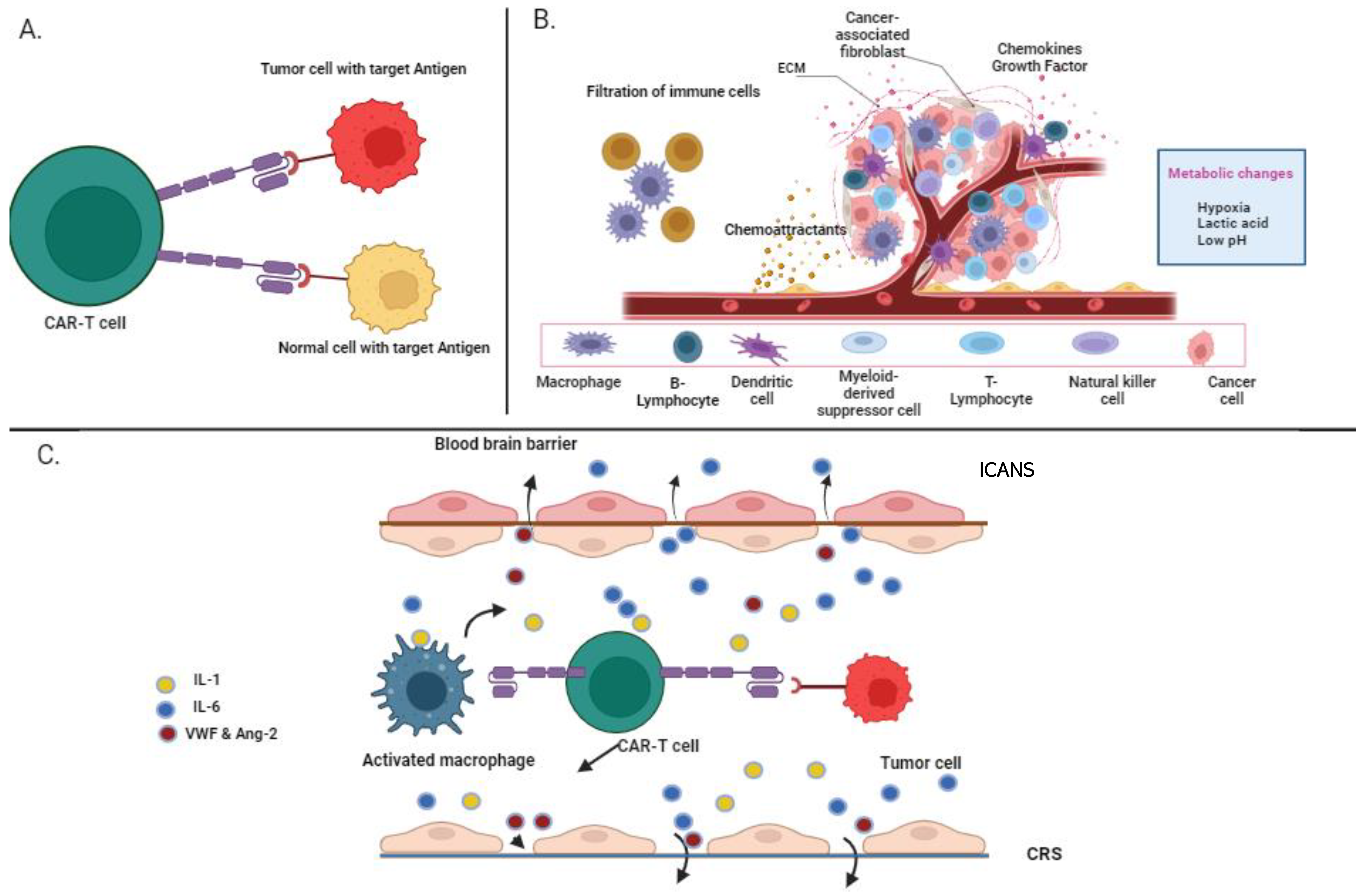 Vaccines 11 01721 g003