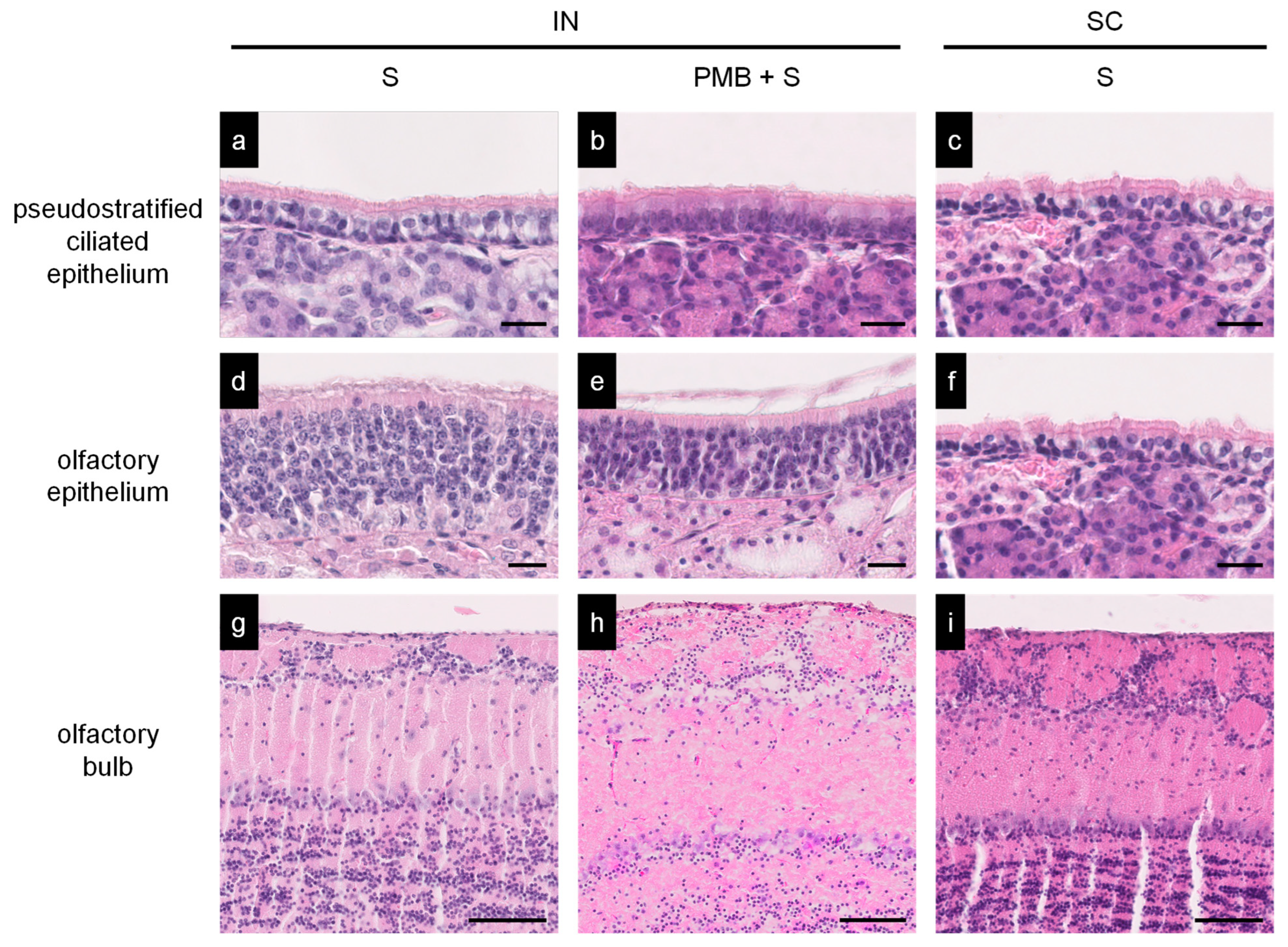 Vaccines 11 01727 g004