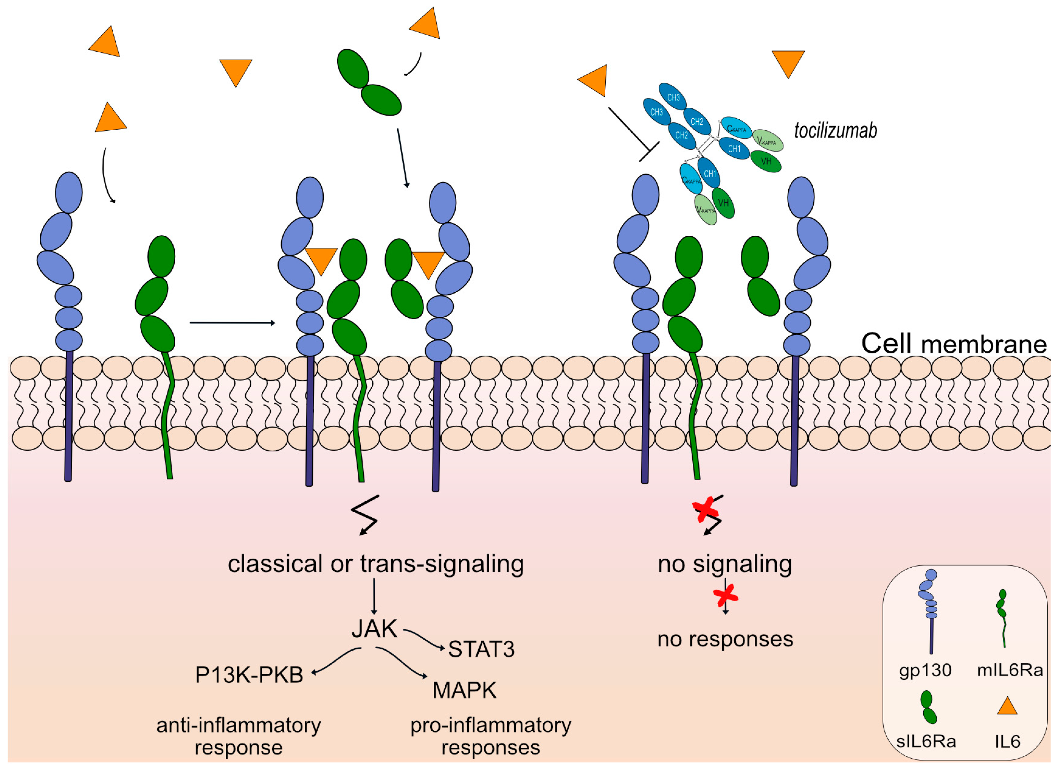 Vaccines 11 01756 g007