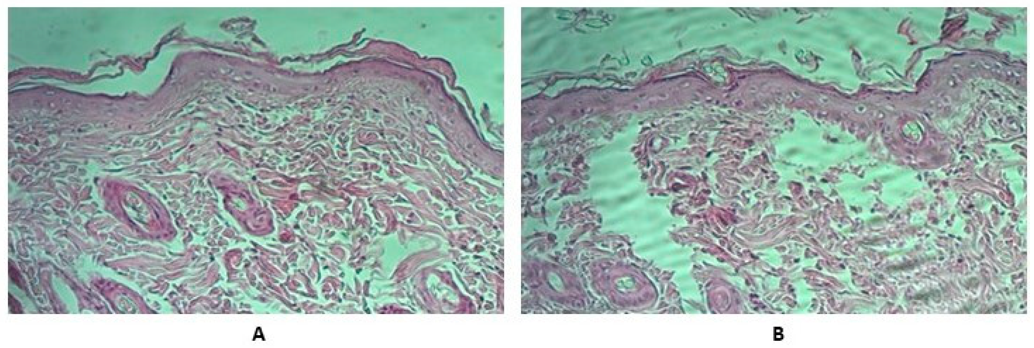 Vaccines 11 01771 g003