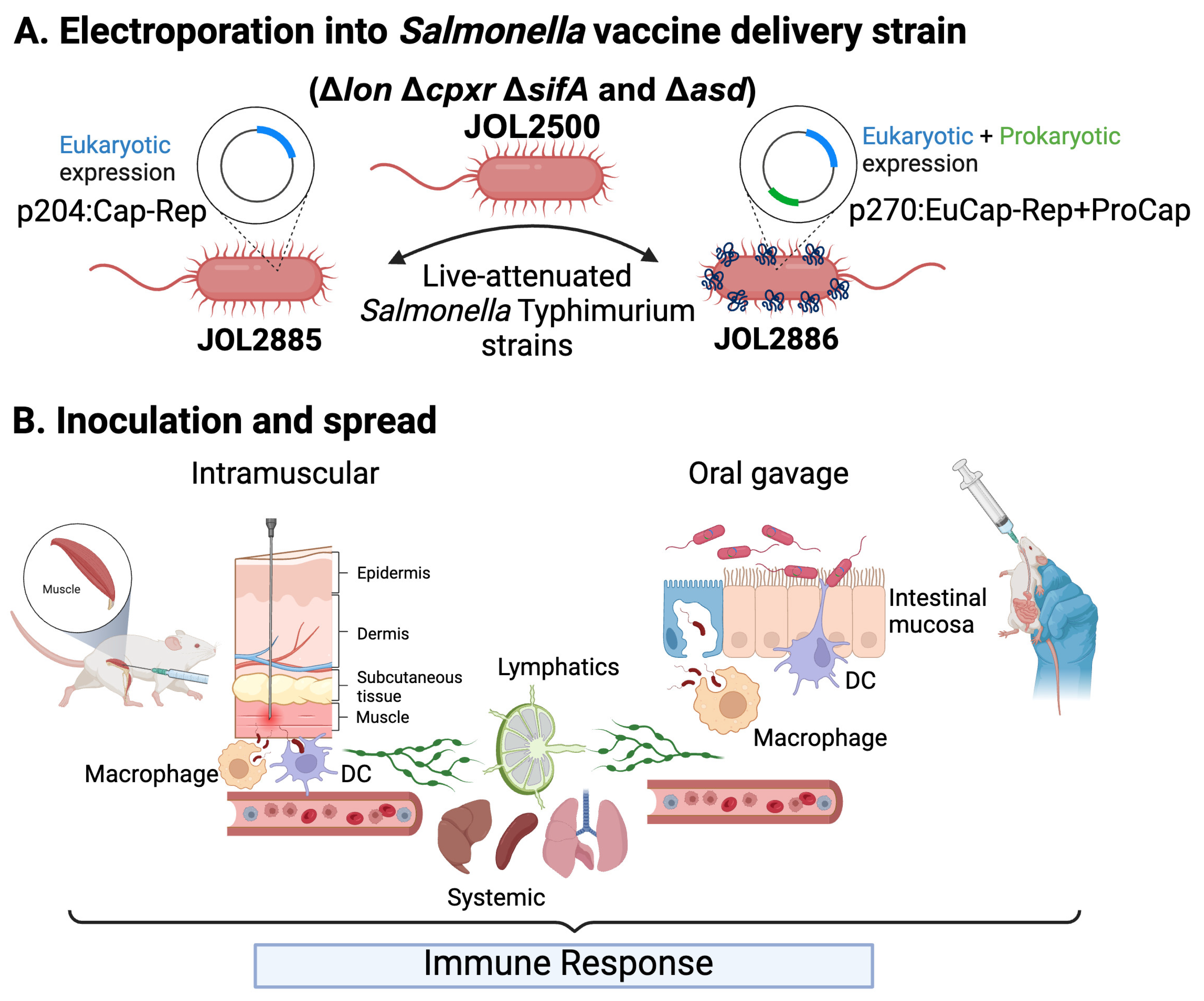 Vaccines 11 01777 g002