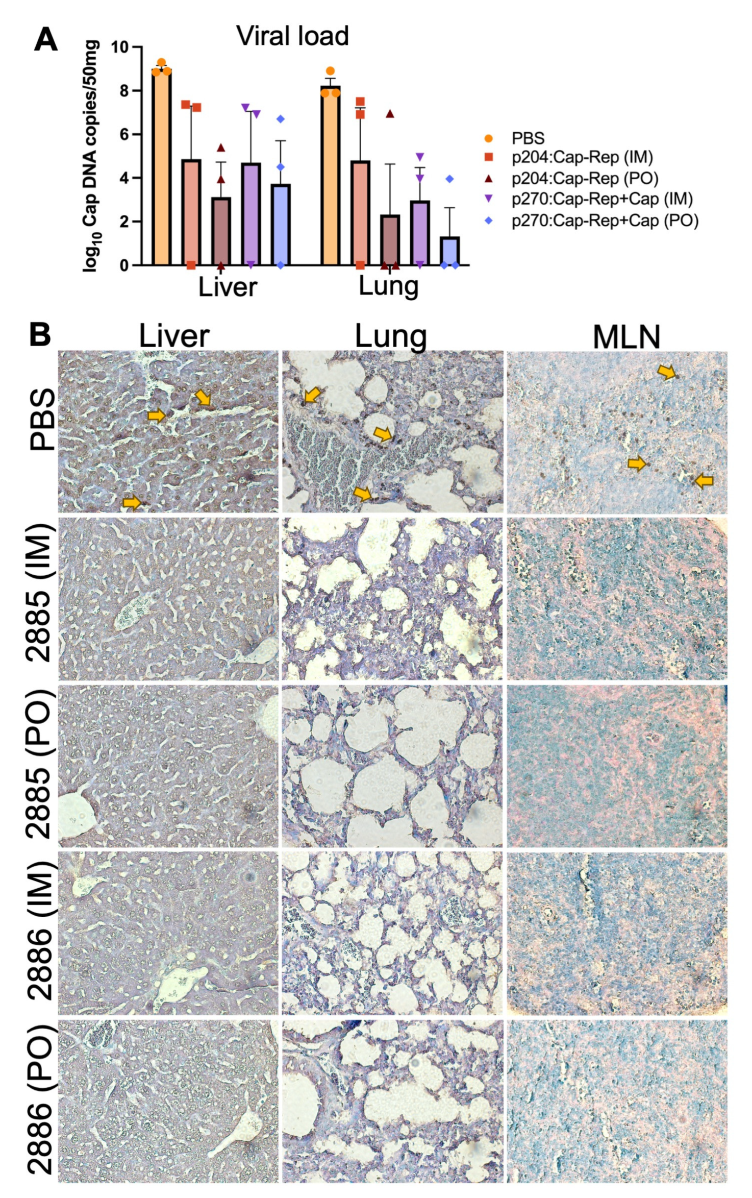Vaccines 11 01777 g005