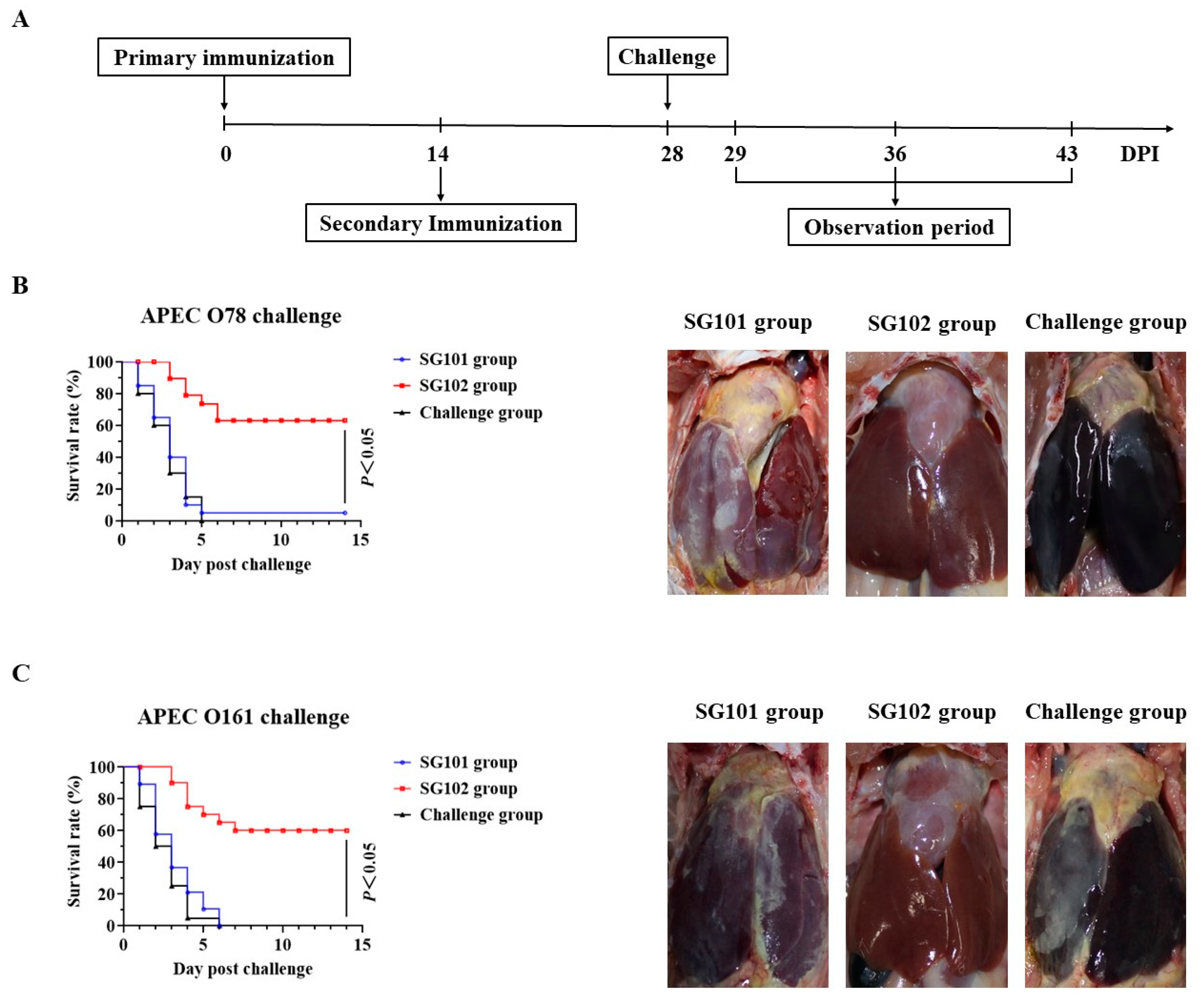 Vaccines 11 01778 g006 Vaccines 11 01778 g006