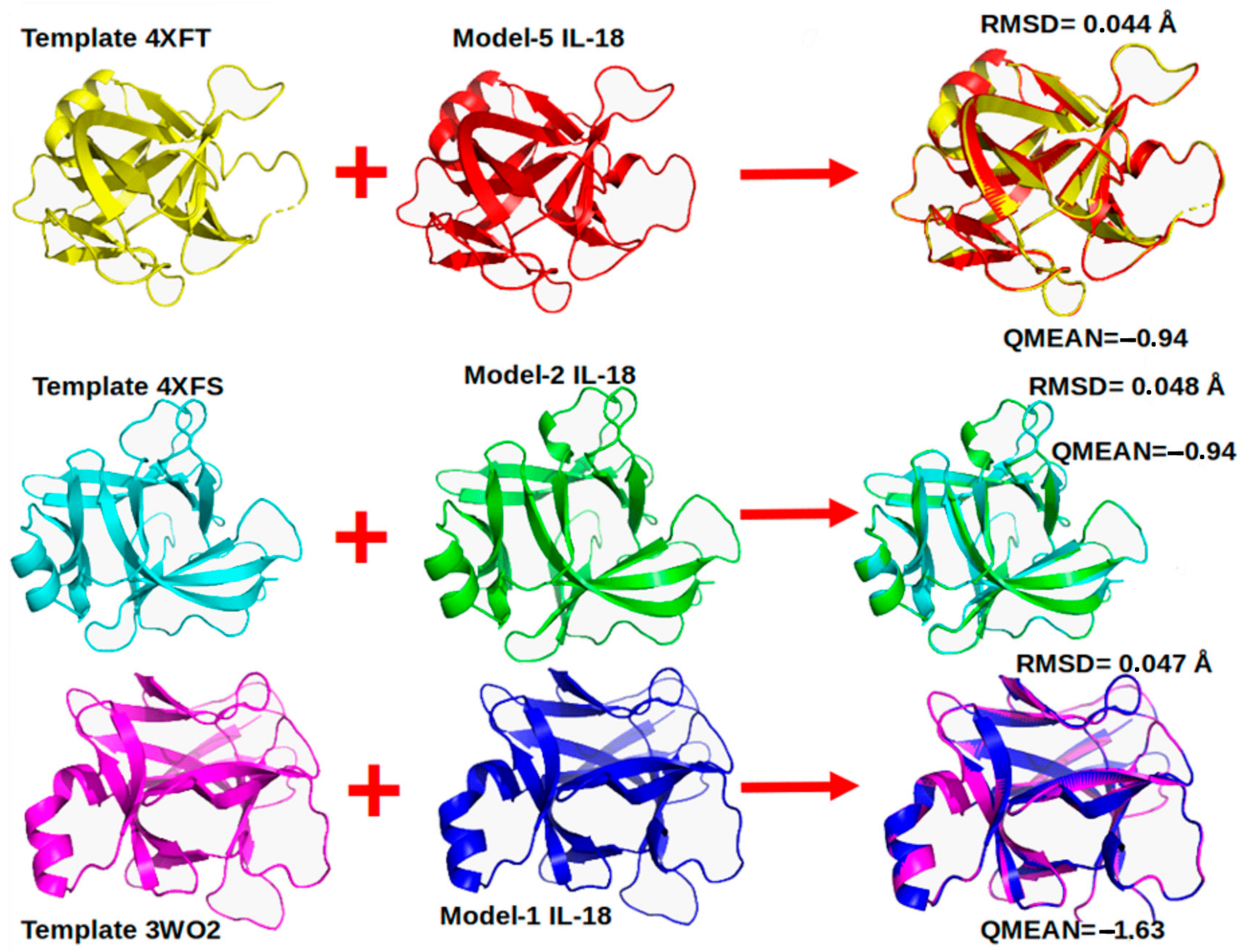 Vaccines 11 01788 g001