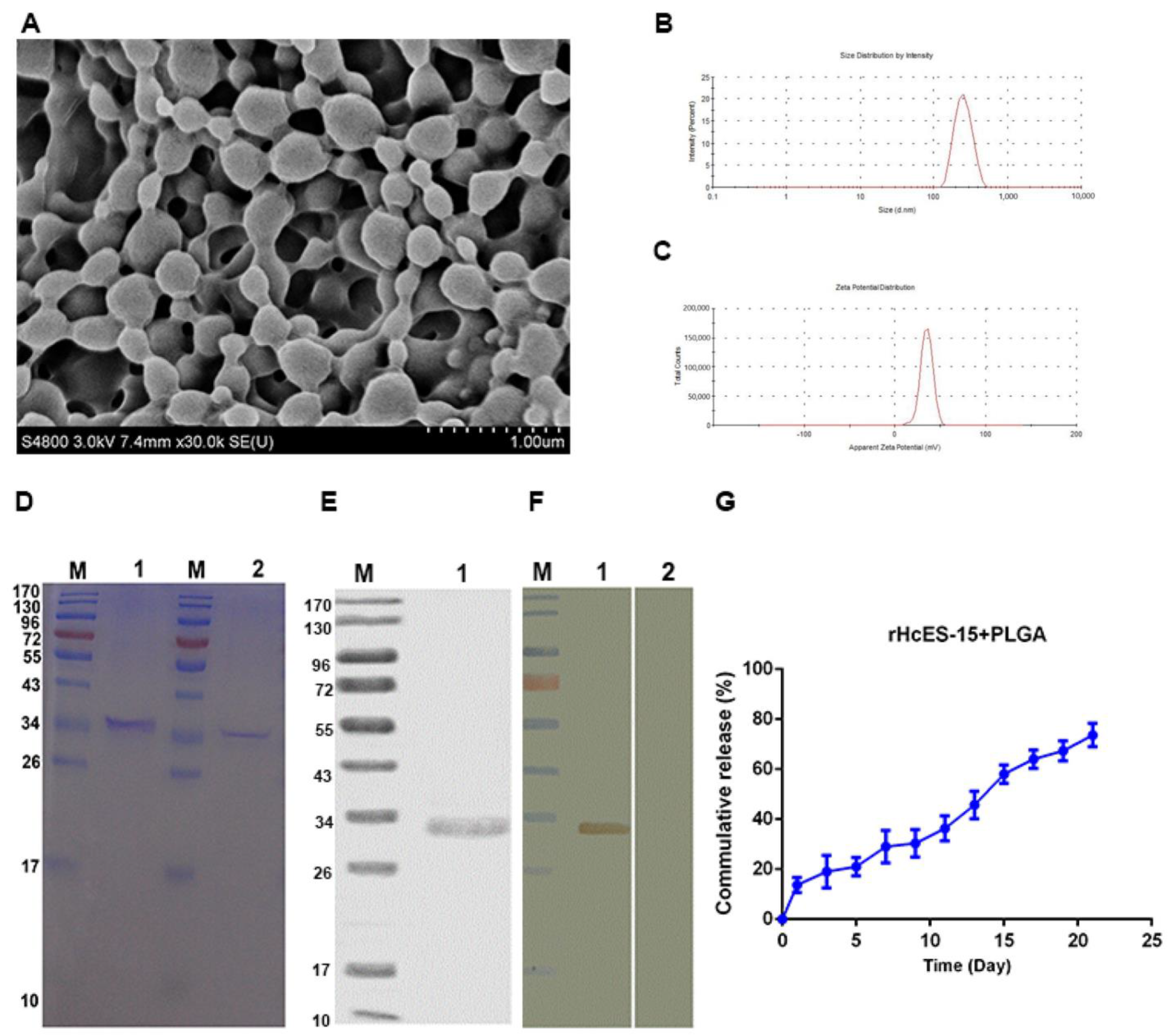Vaccines 11 01794 g001 Vaccines 11 01794 g001