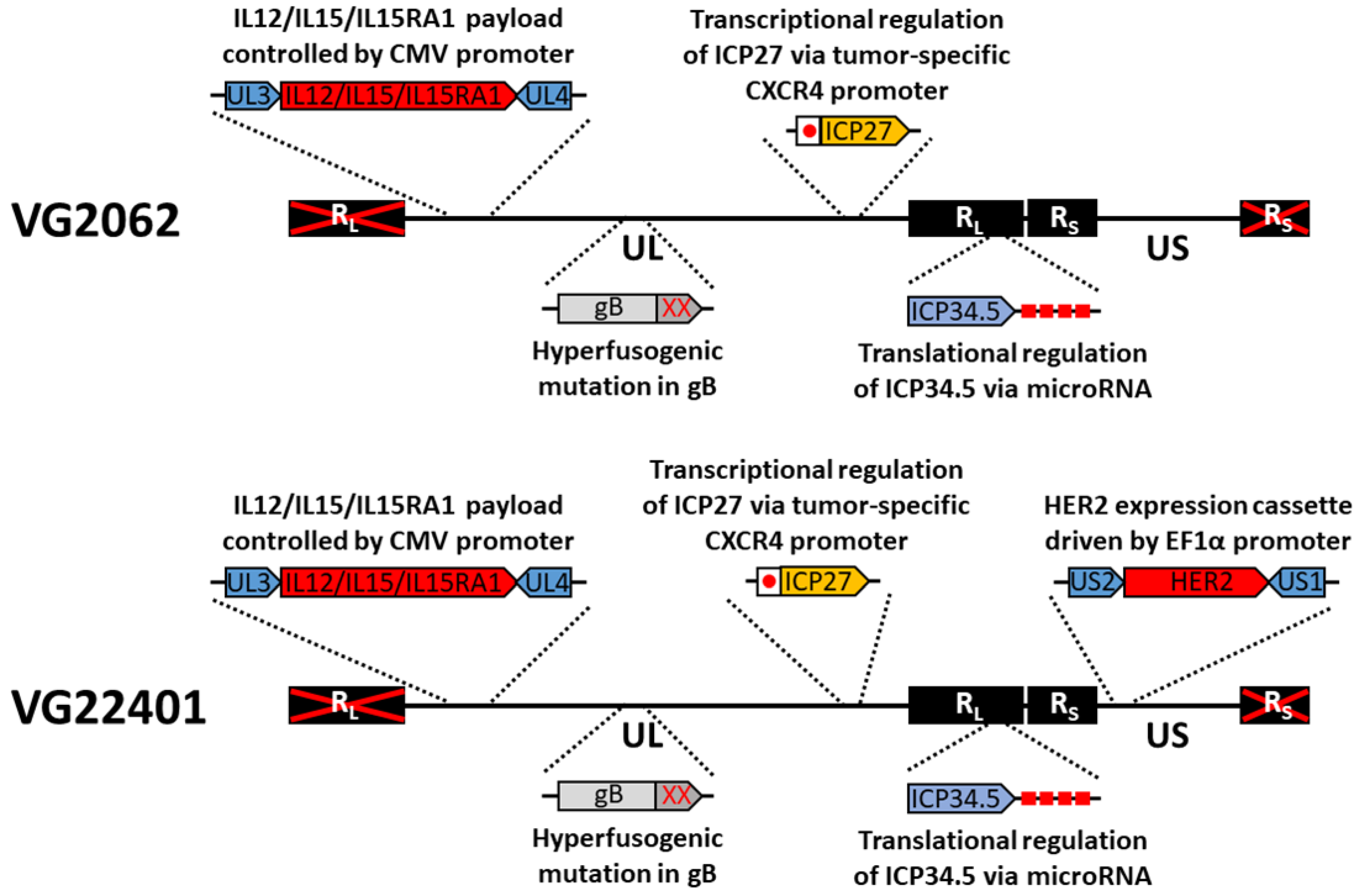 Vaccines 11 01805 g001