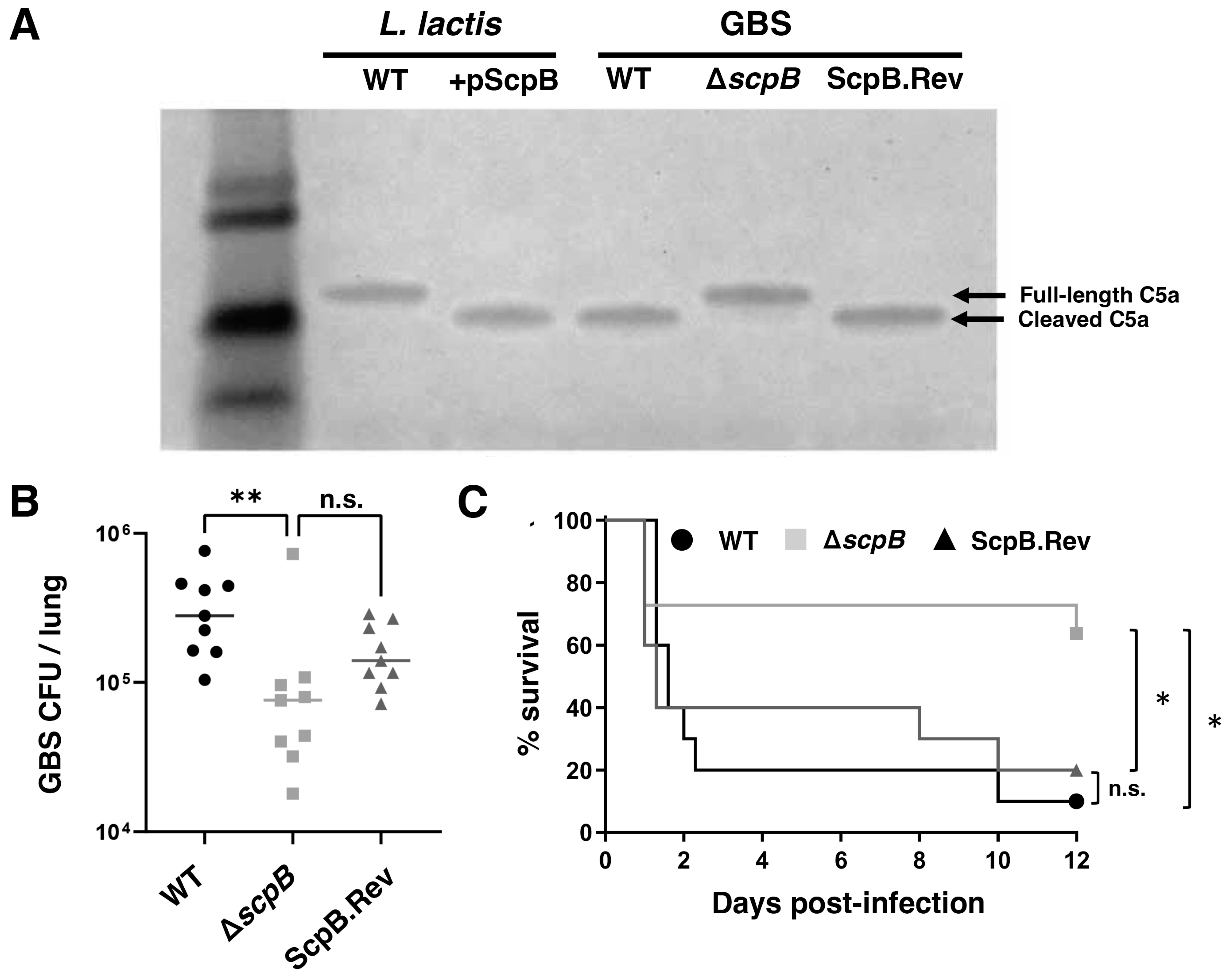 Vaccines 11 01811 g002
