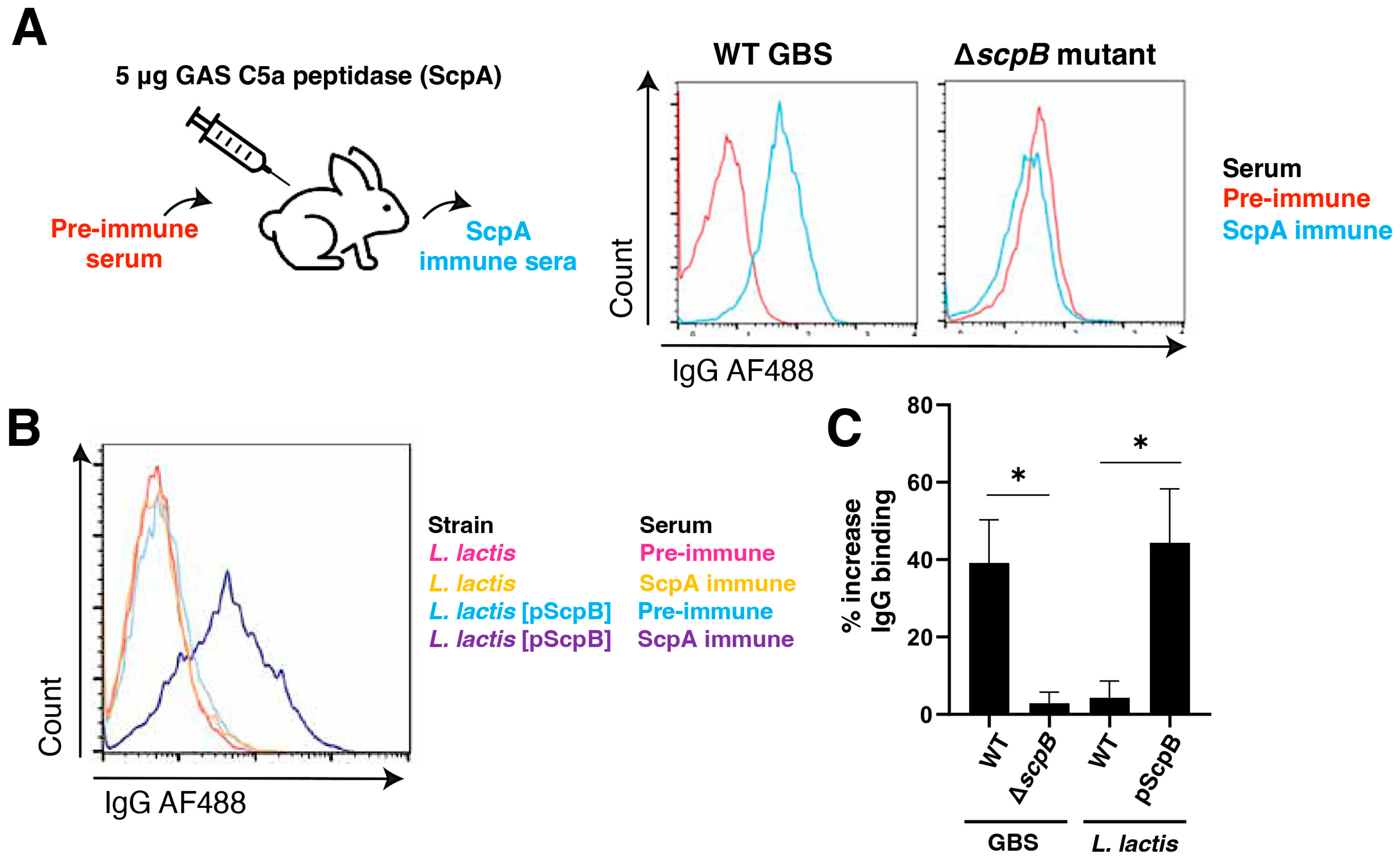 Vaccines 11 01811 g003