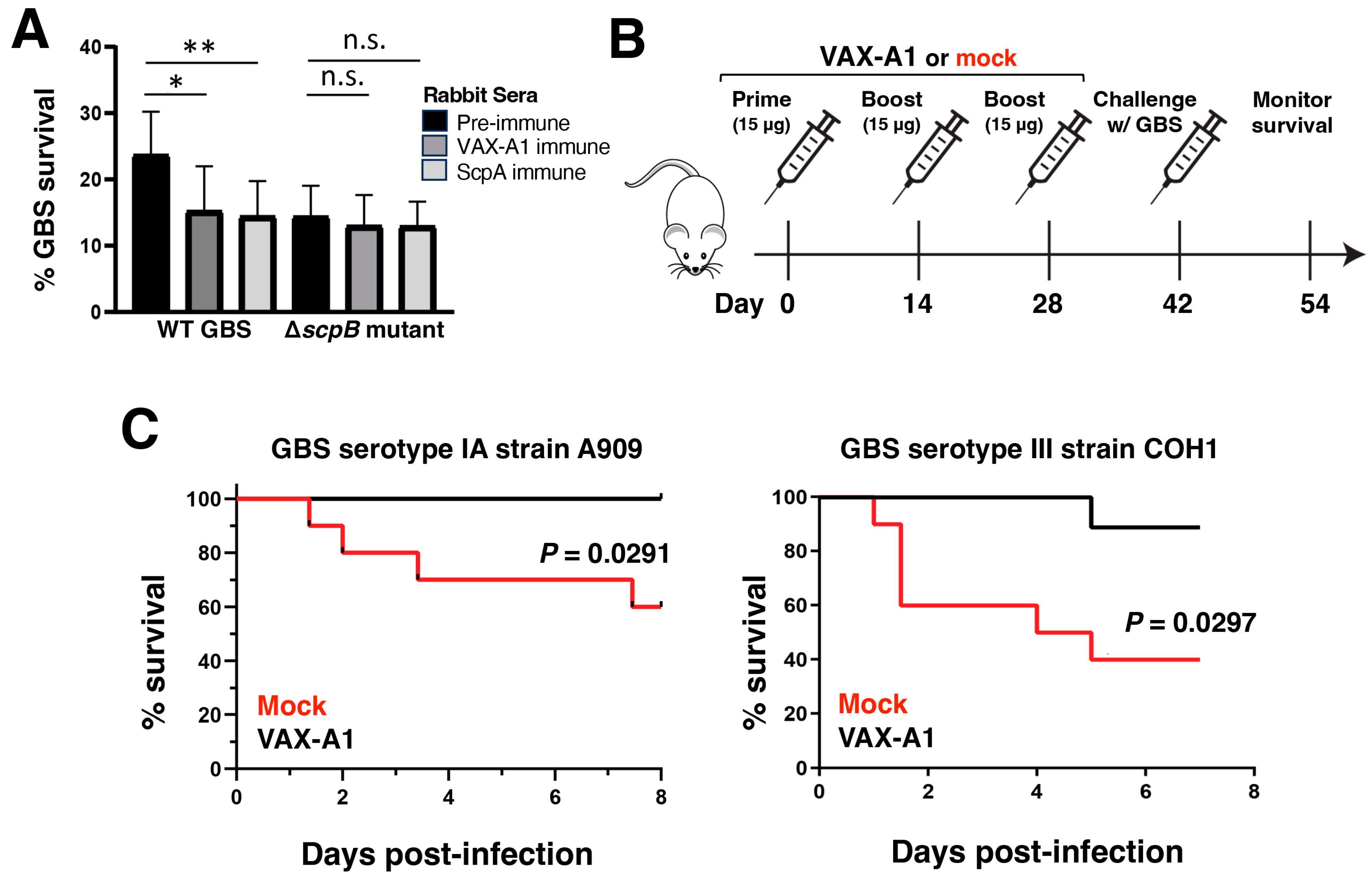 Vaccines 11 01811 g006