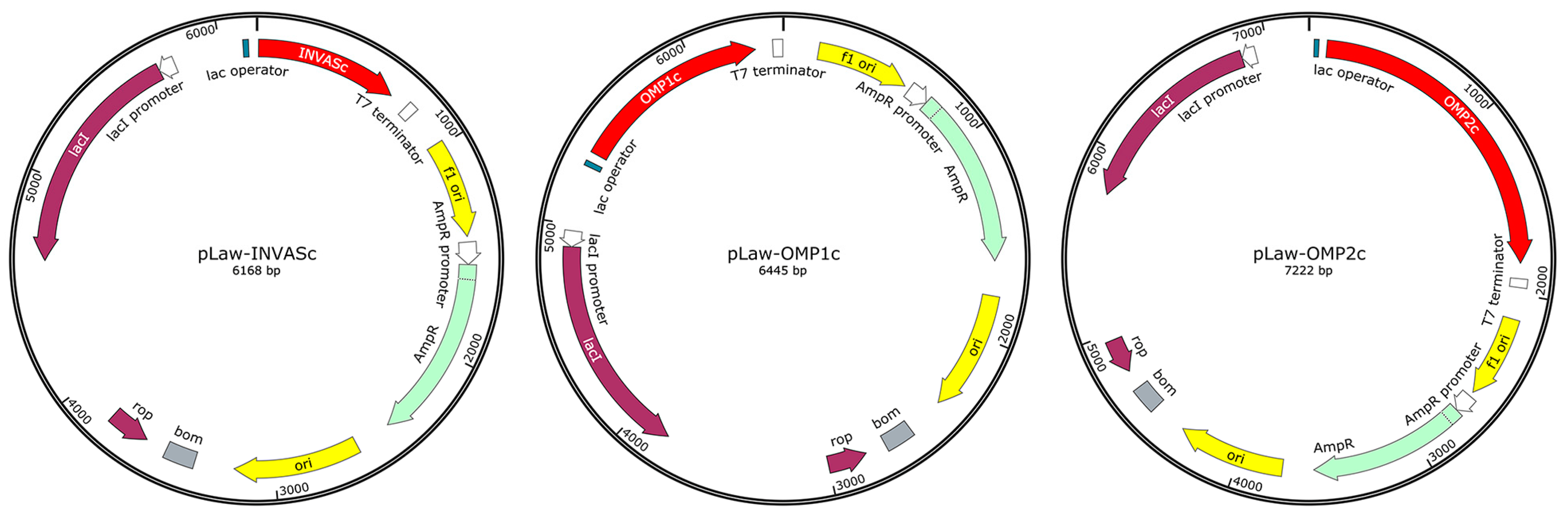 Vaccines 11 01817 g001