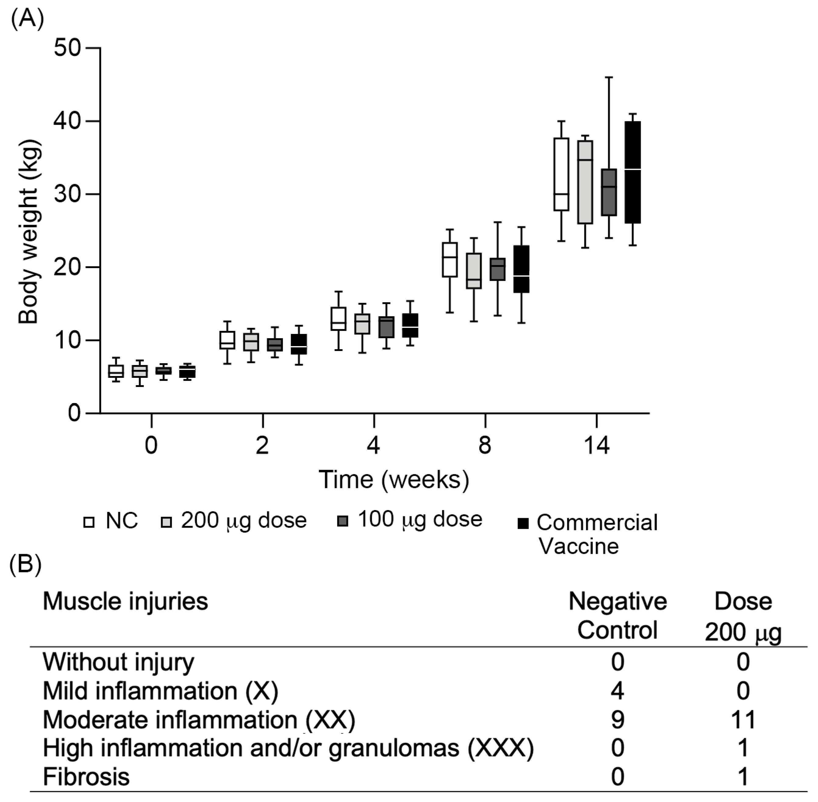 Vaccines 11 01817 g008