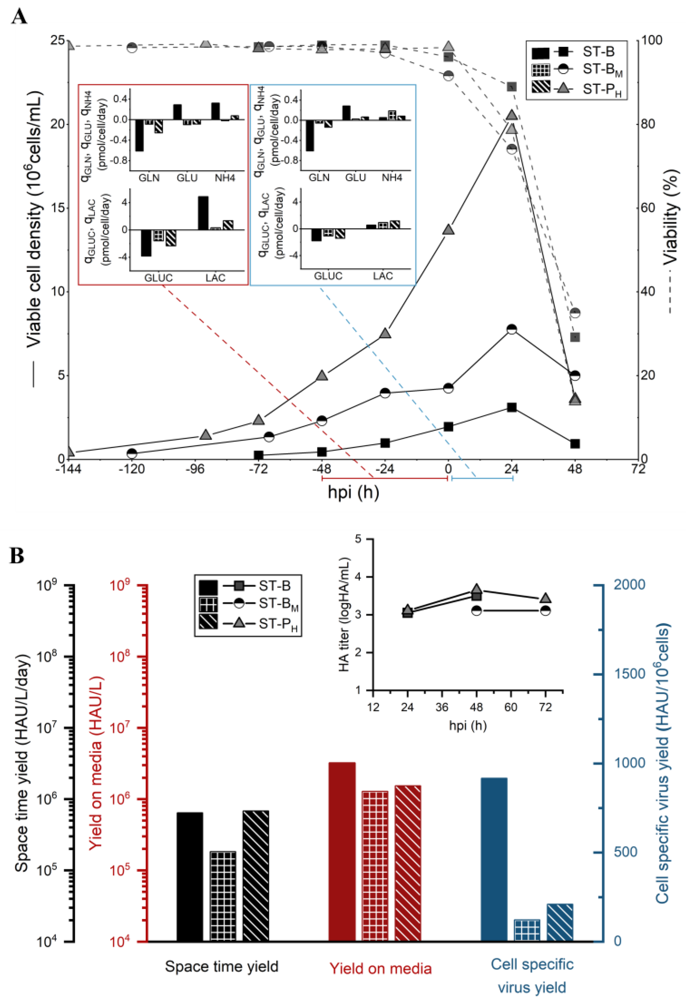 Vaccines 11 01819 g001