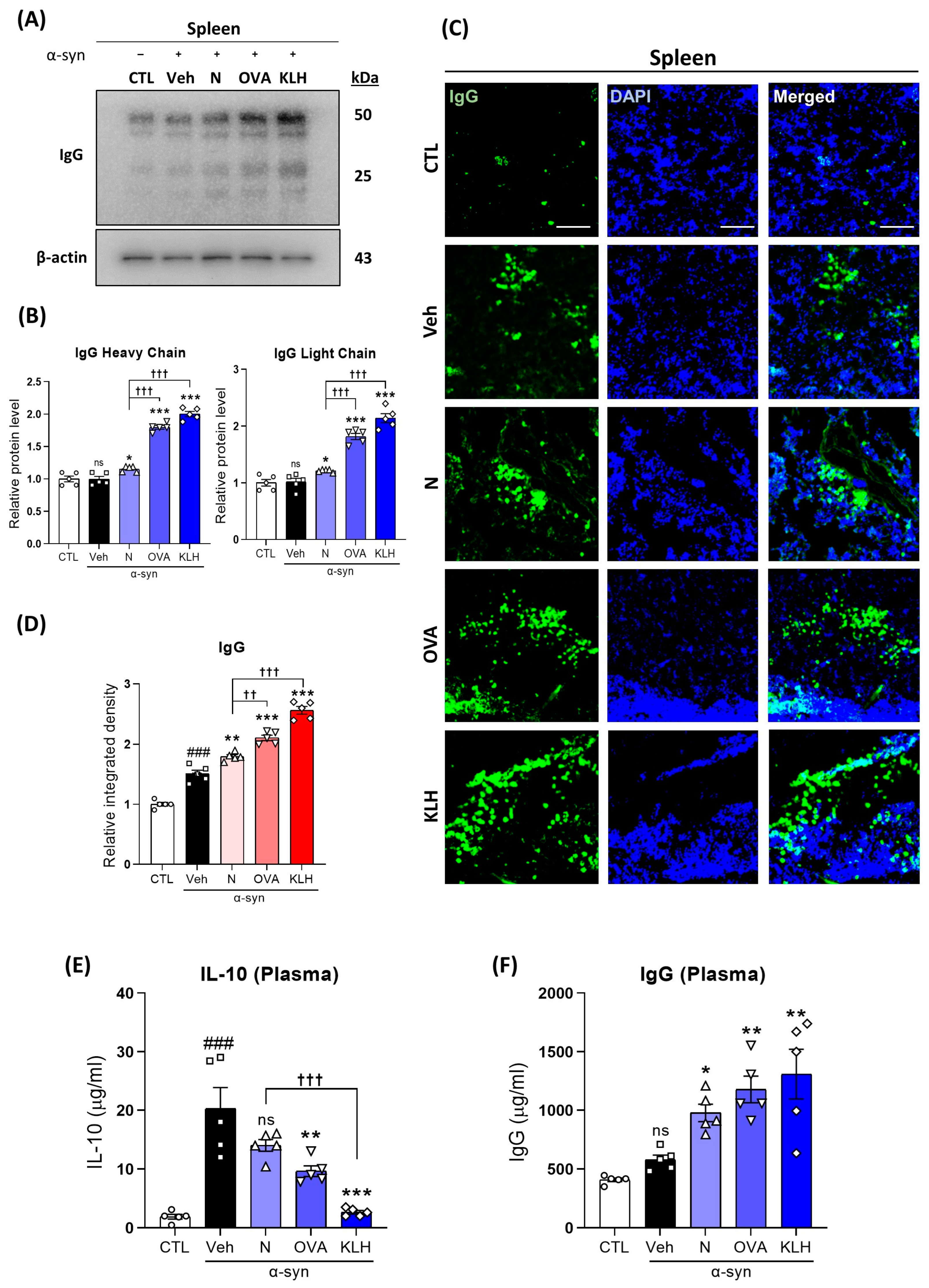 Vaccines 11 01820 g003