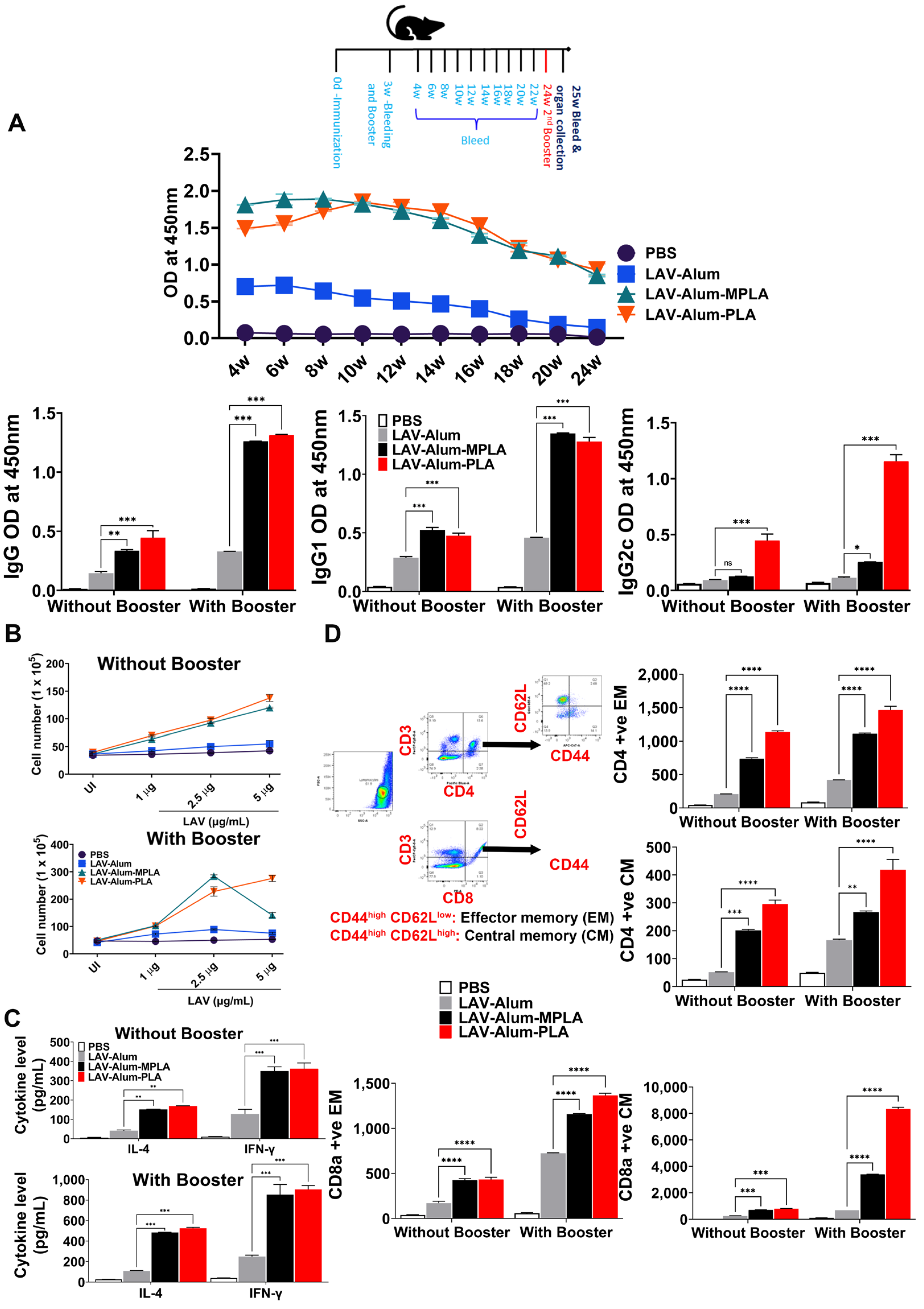 Vaccines 11 01824 g004