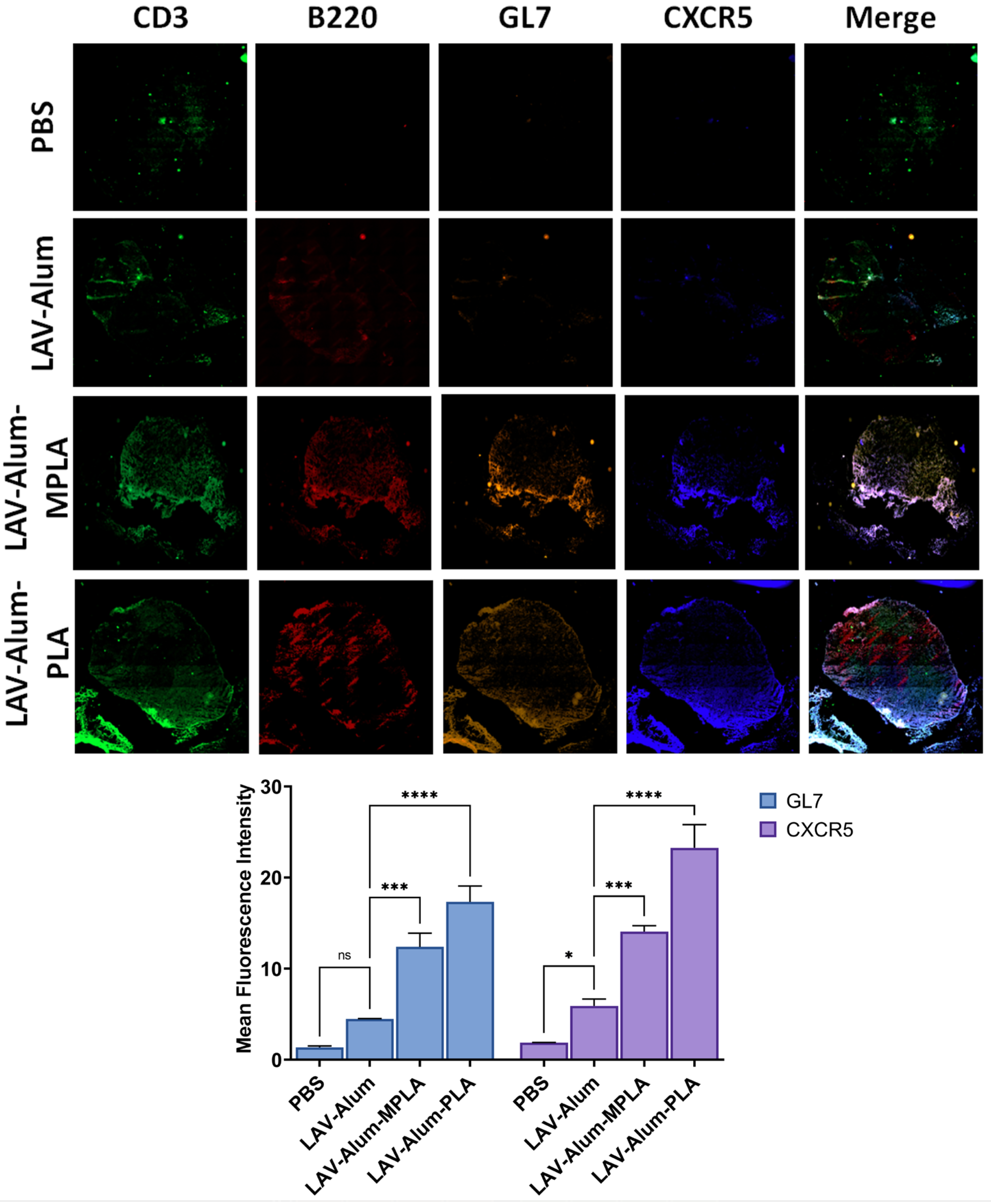 Vaccines 11 01824 g005