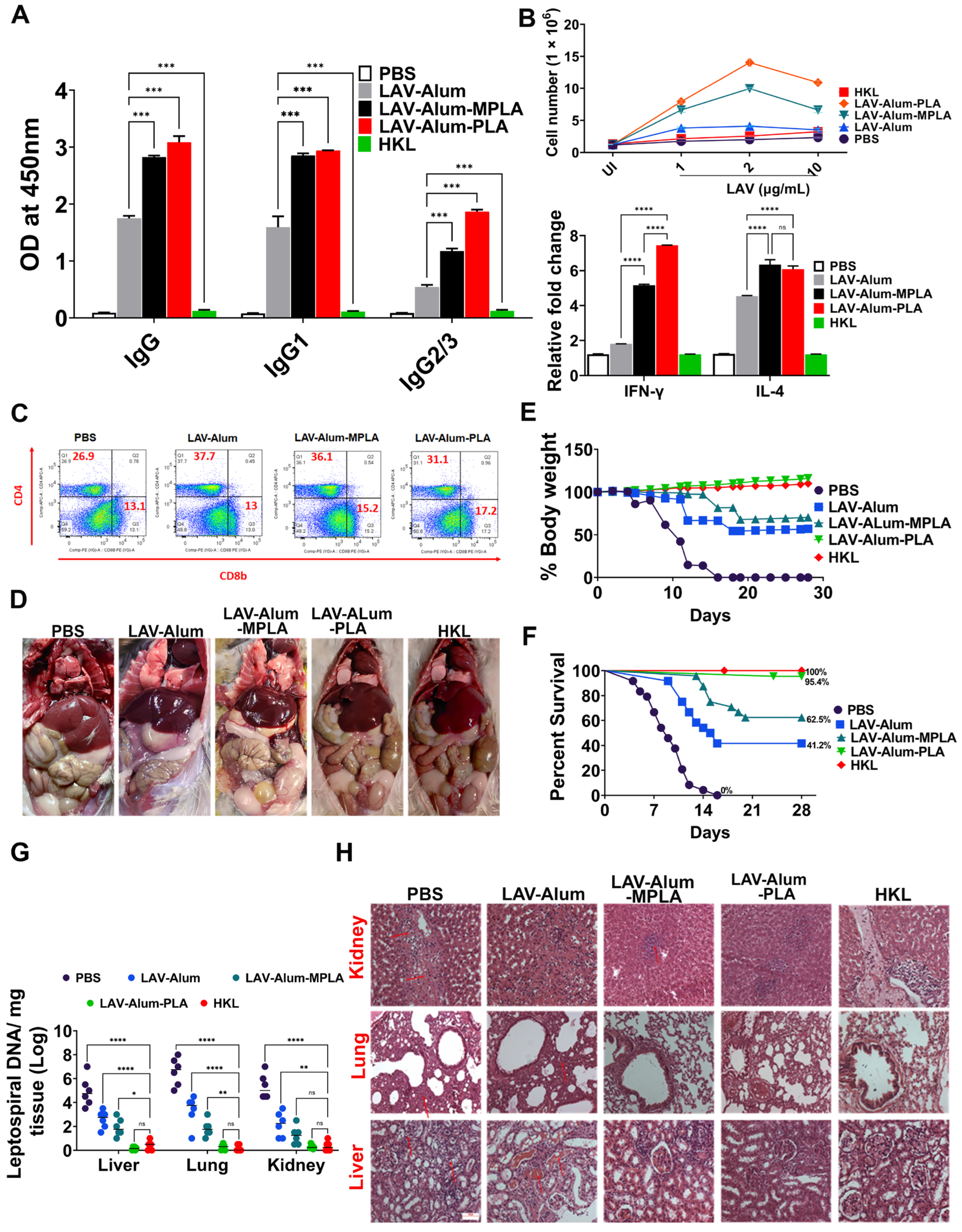 Vaccines 11 01824 g006