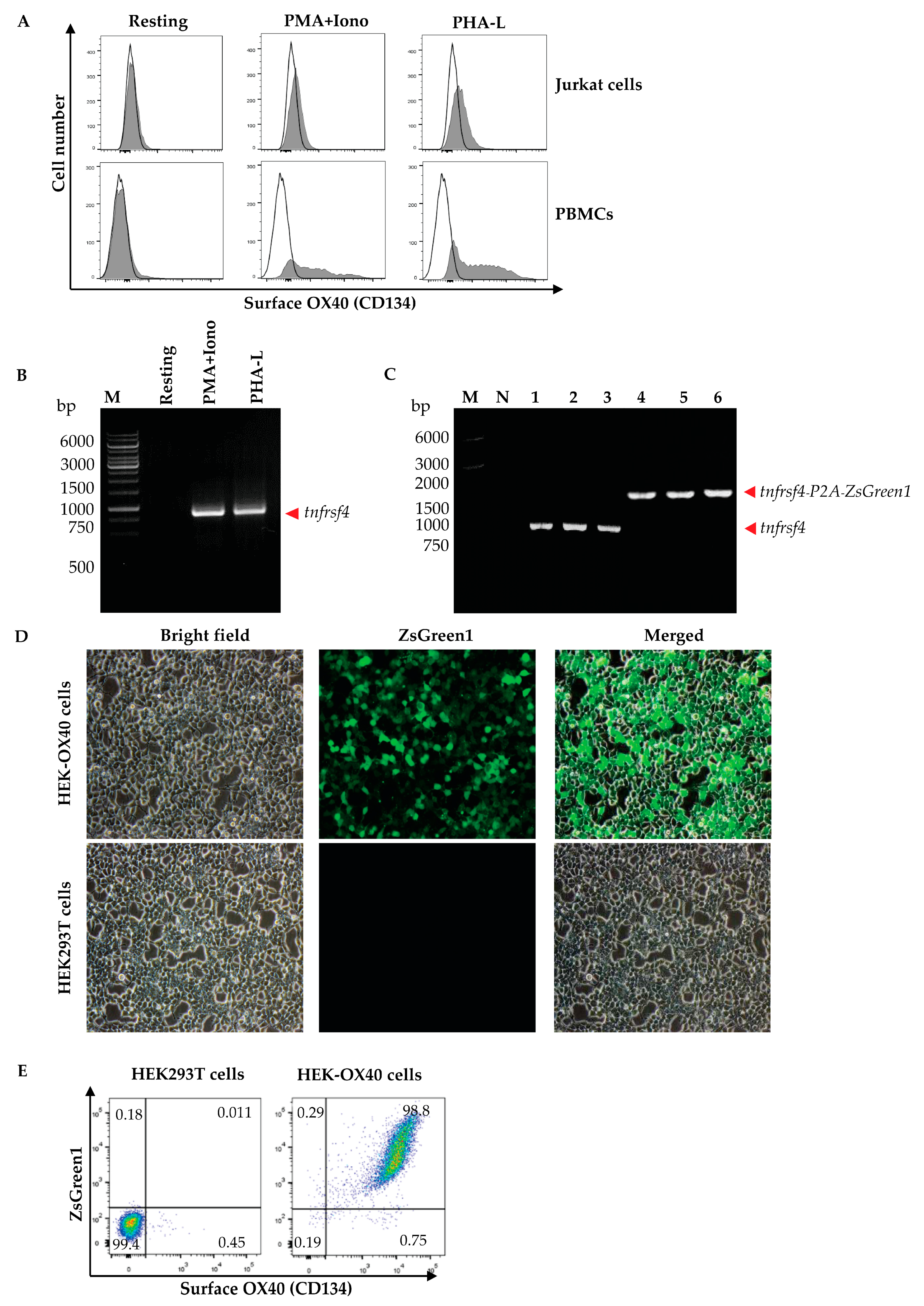 Vaccines 11 01826 g001