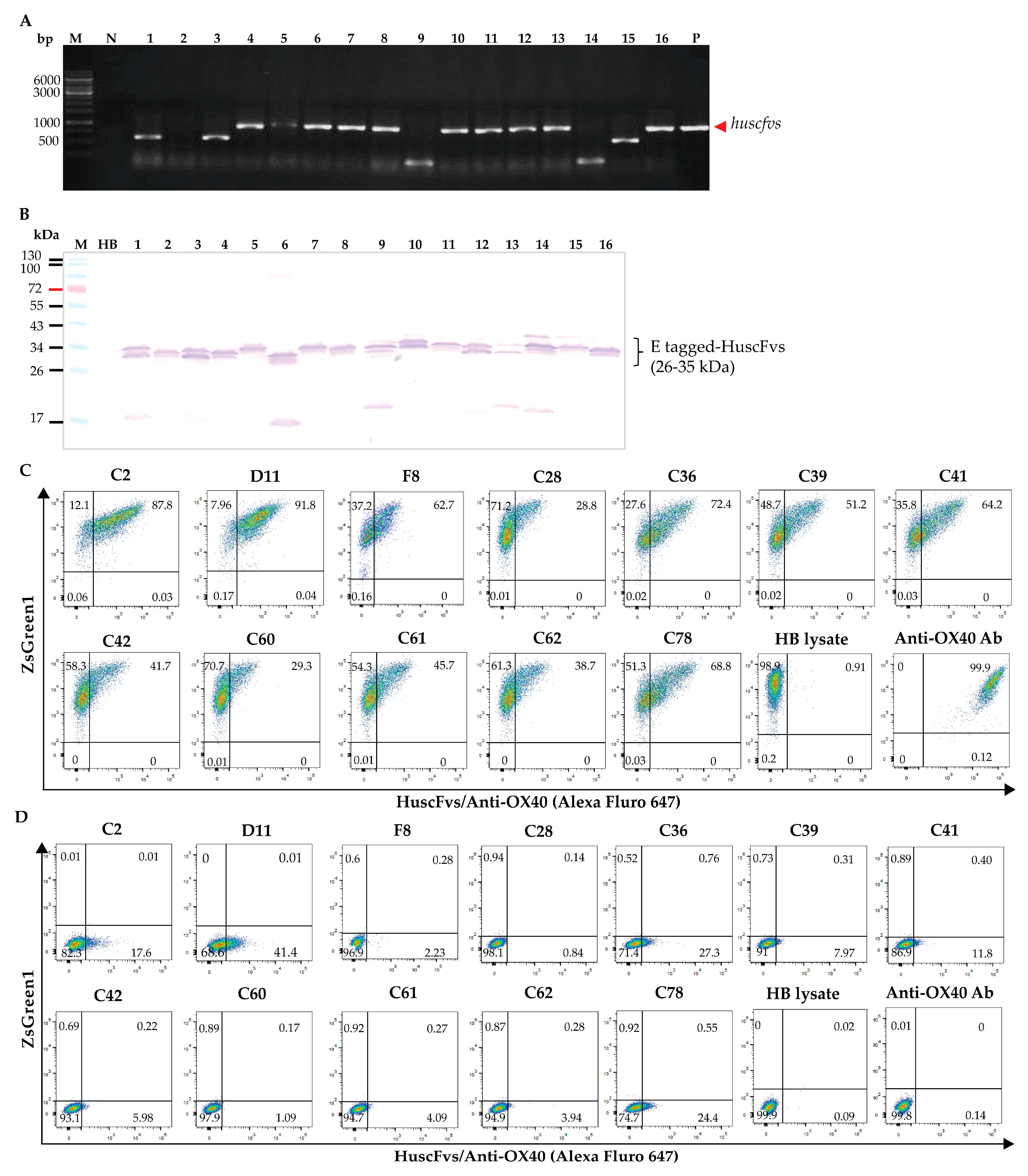 Vaccines 11 01826 g002