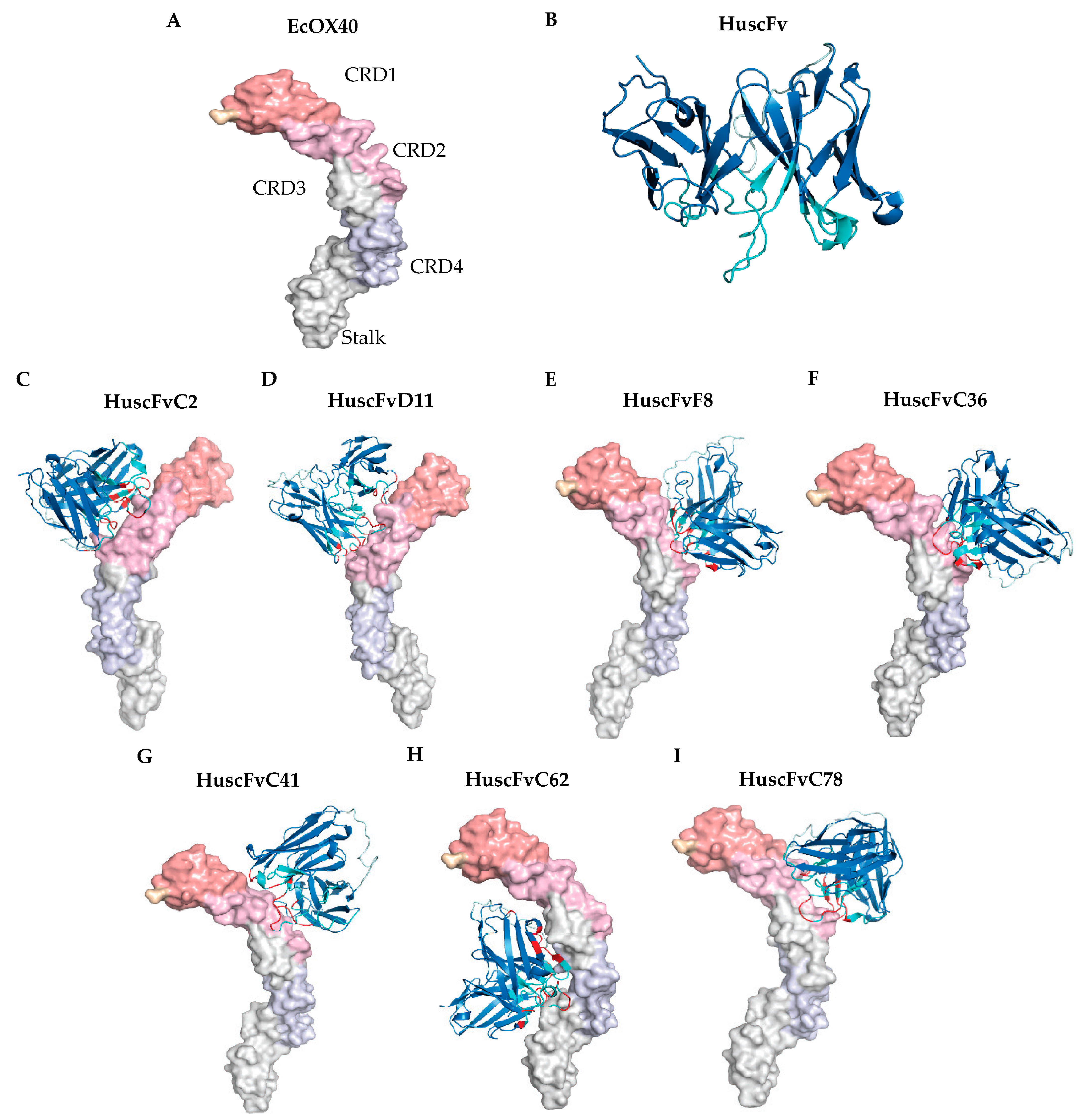 Vaccines 11 01826 g003