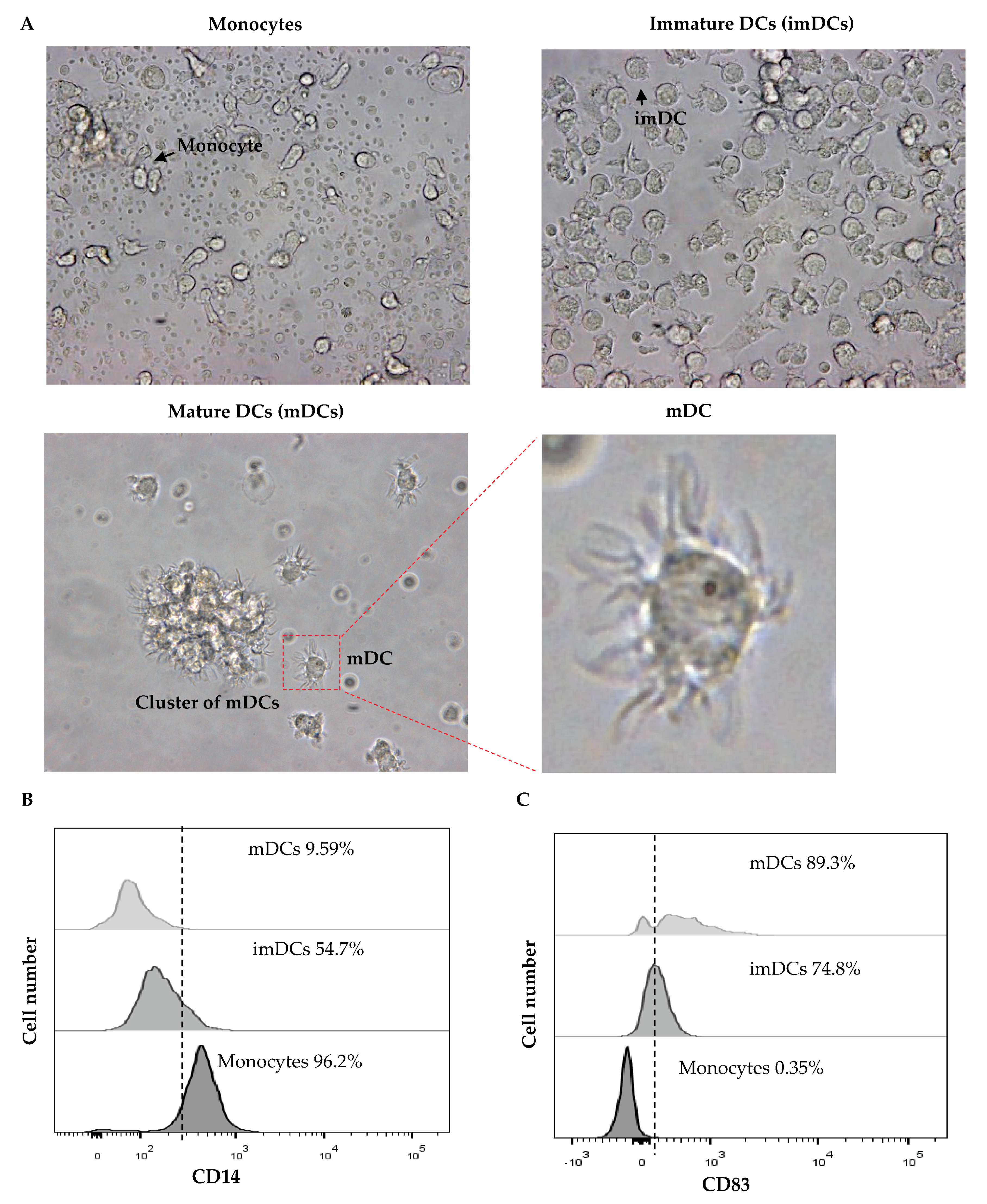 Vaccines 11 01826 g011