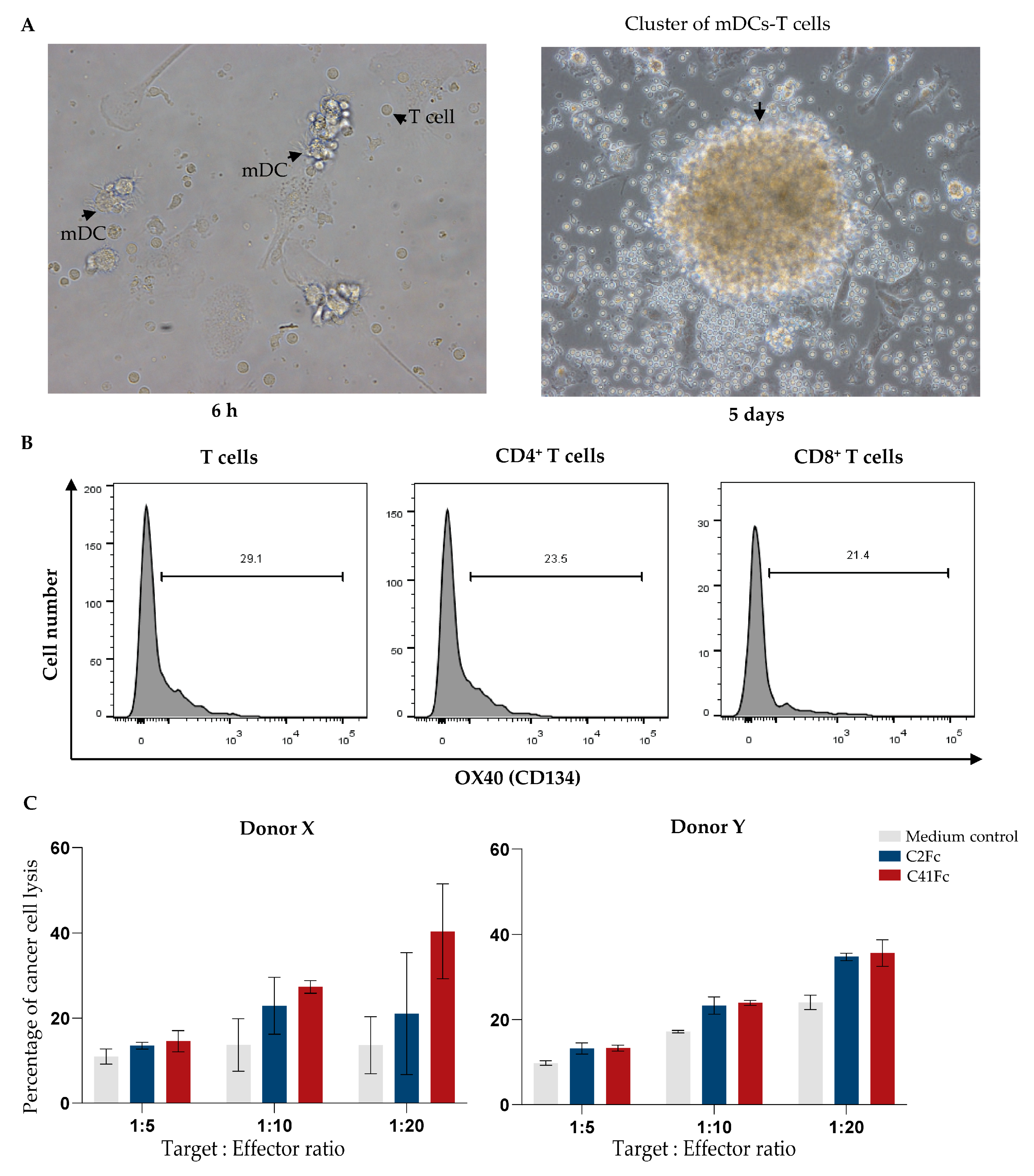 Vaccines 11 01826 g012