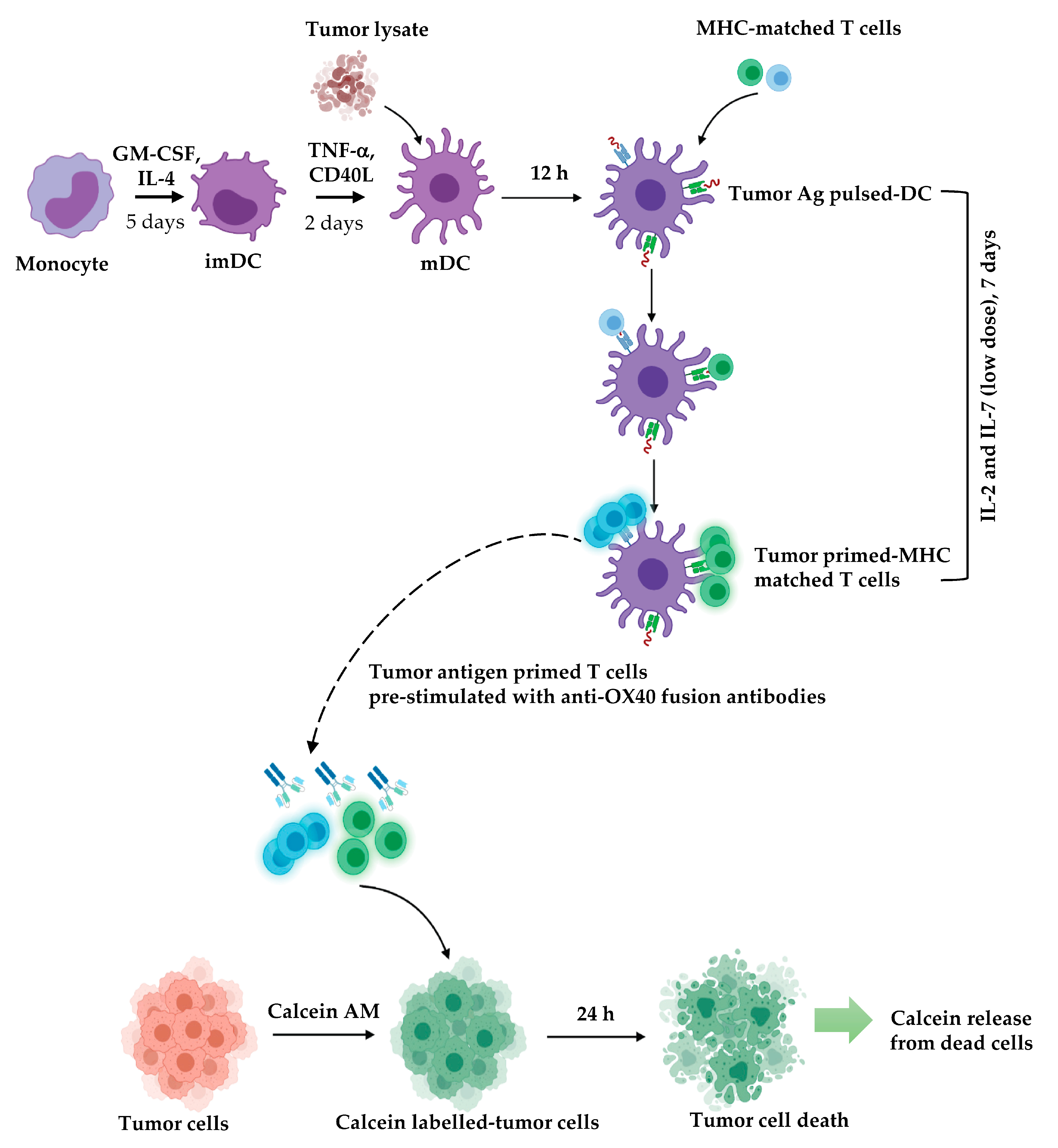 Vaccines 11 01826 g013