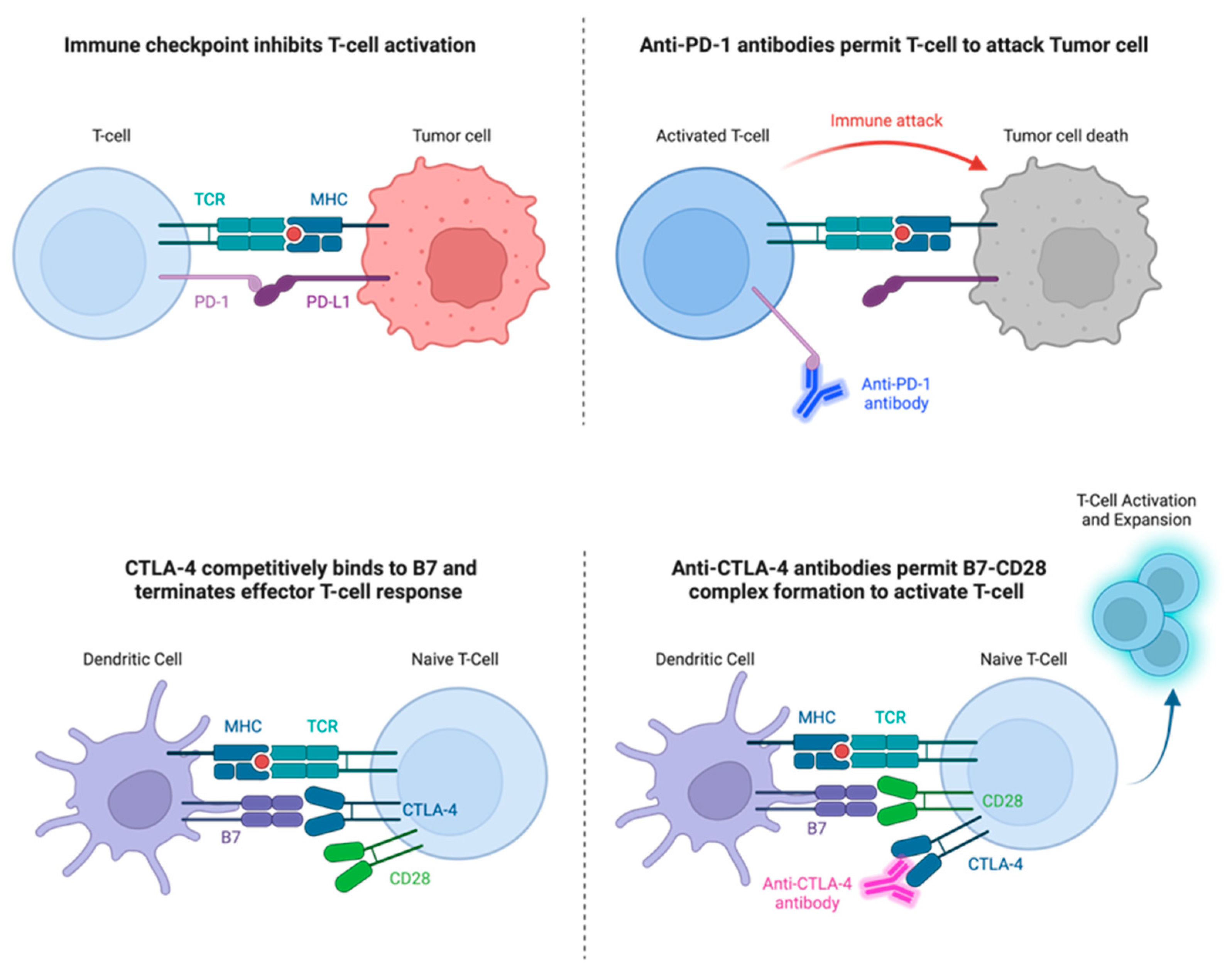 Vaccines 11 01843 g001