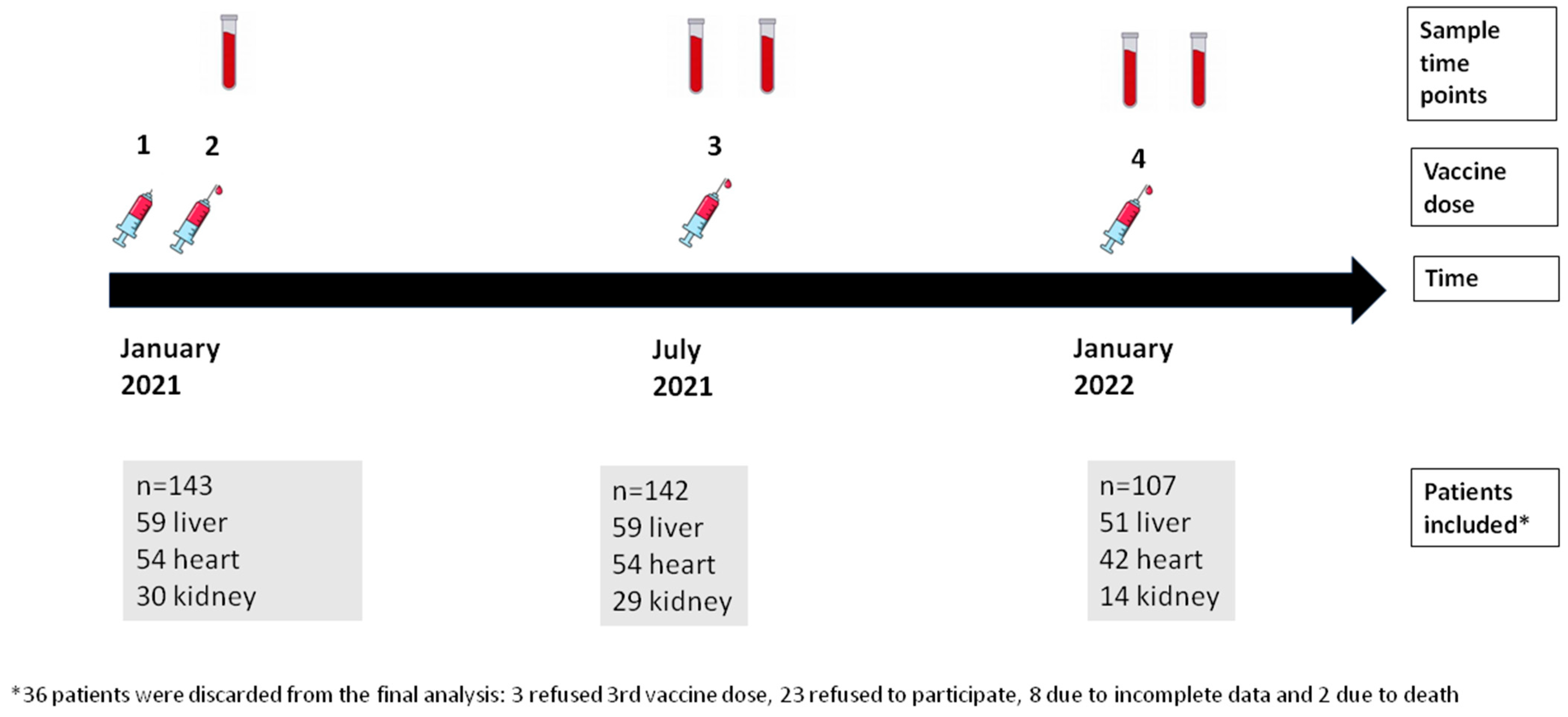 Vaccines 11 01845 g001