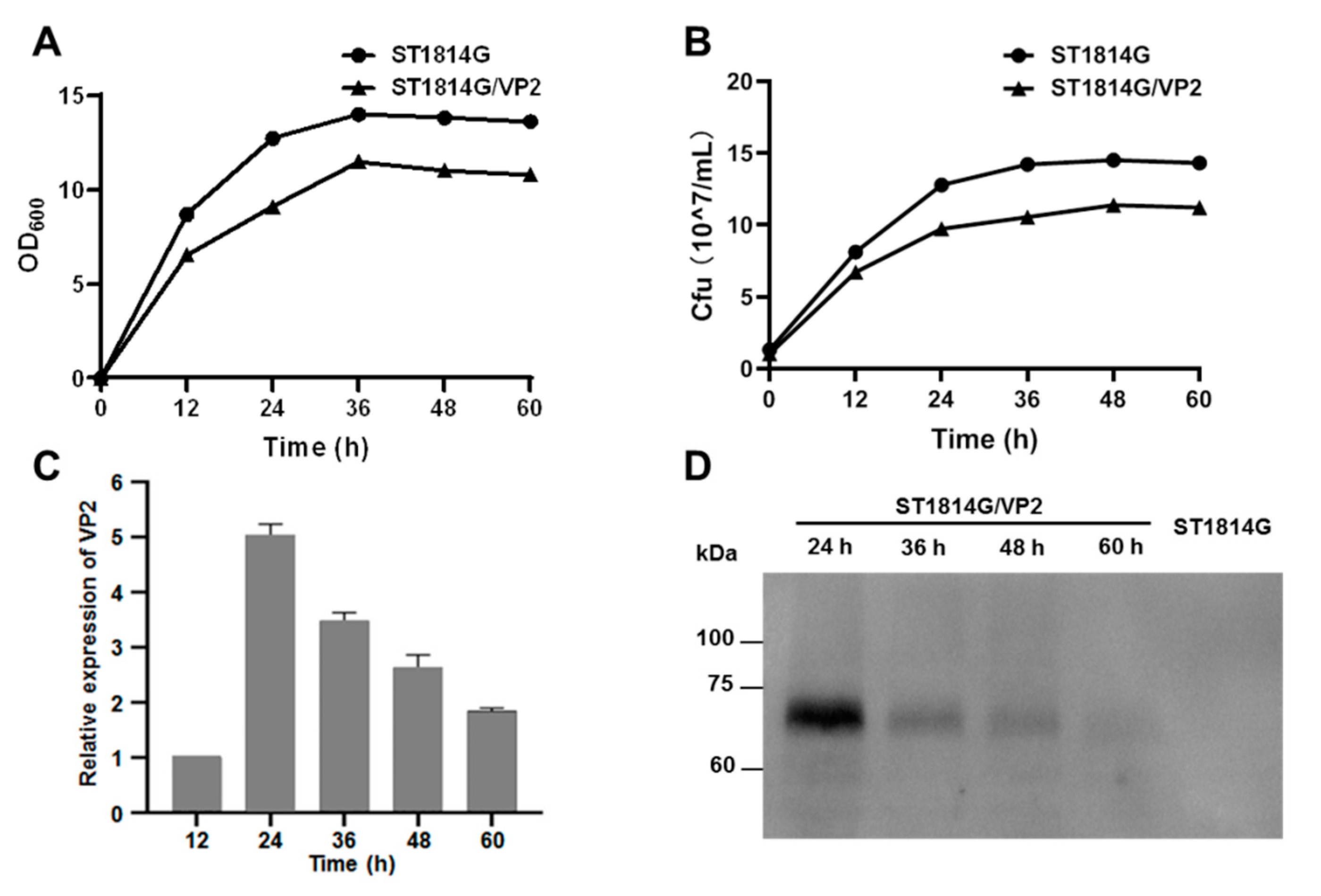 Vaccines 11 01849 g003 Vaccines 11 01849 g003