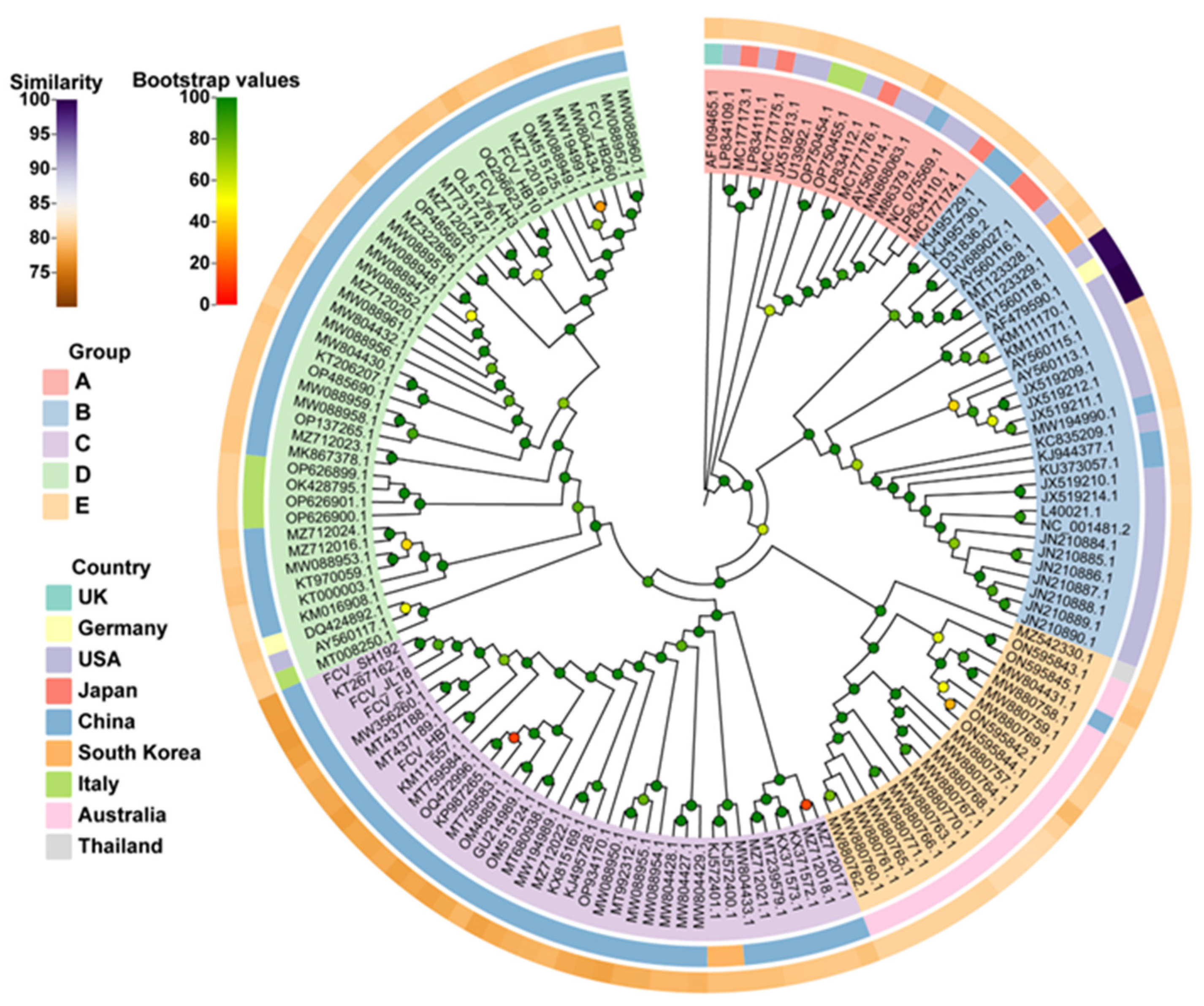 Vaccines 11 01858 g001