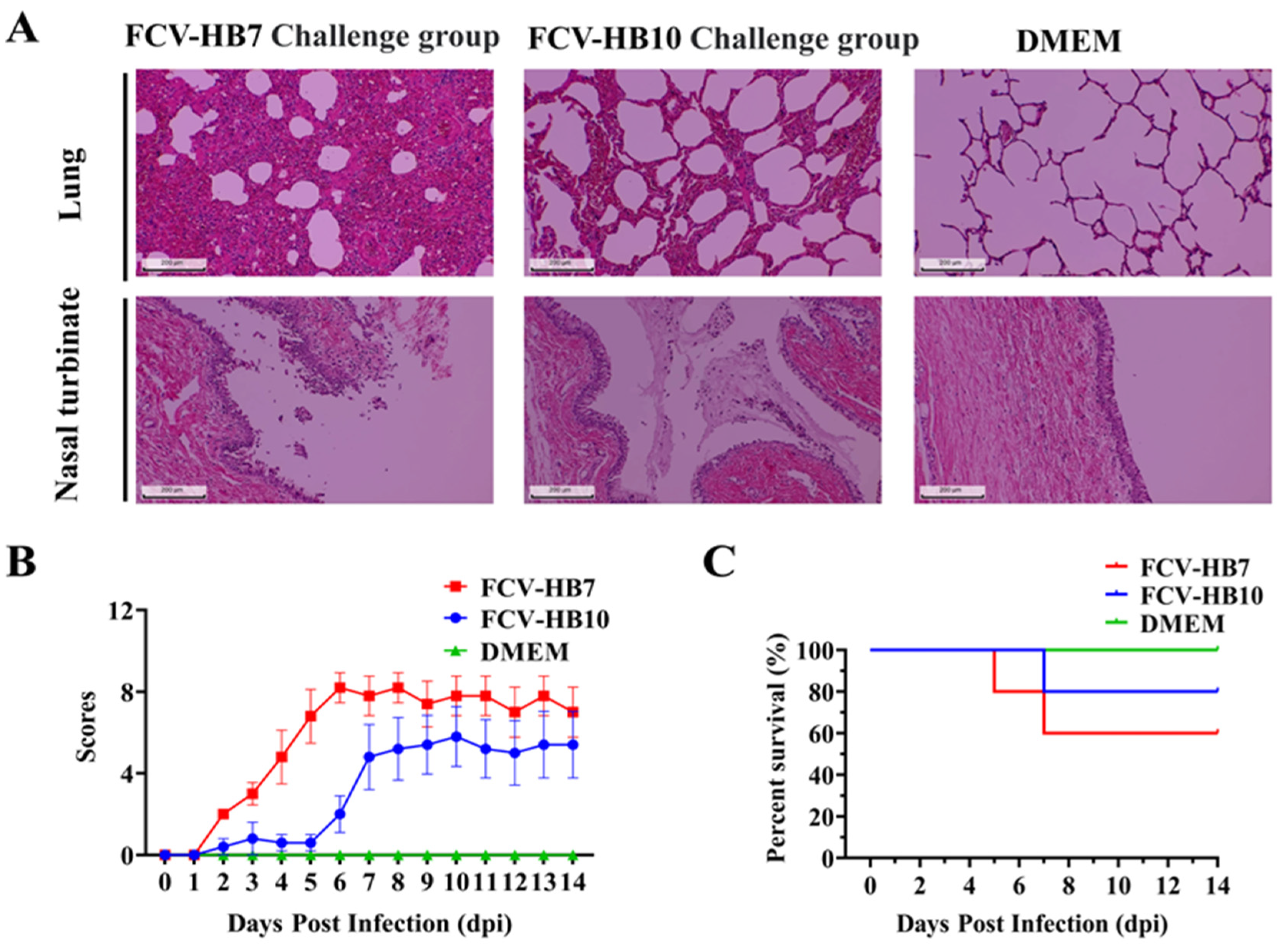Vaccines 11 01858 g004