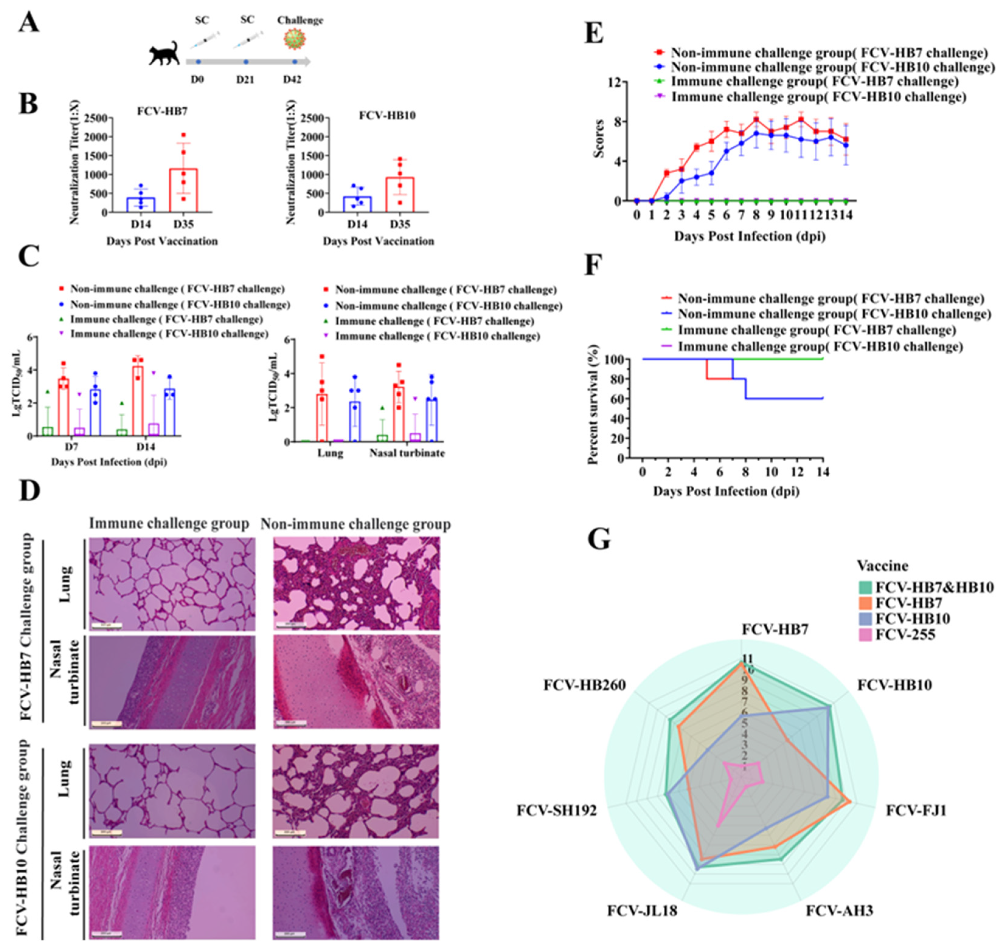 Vaccines 11 01858 g005
