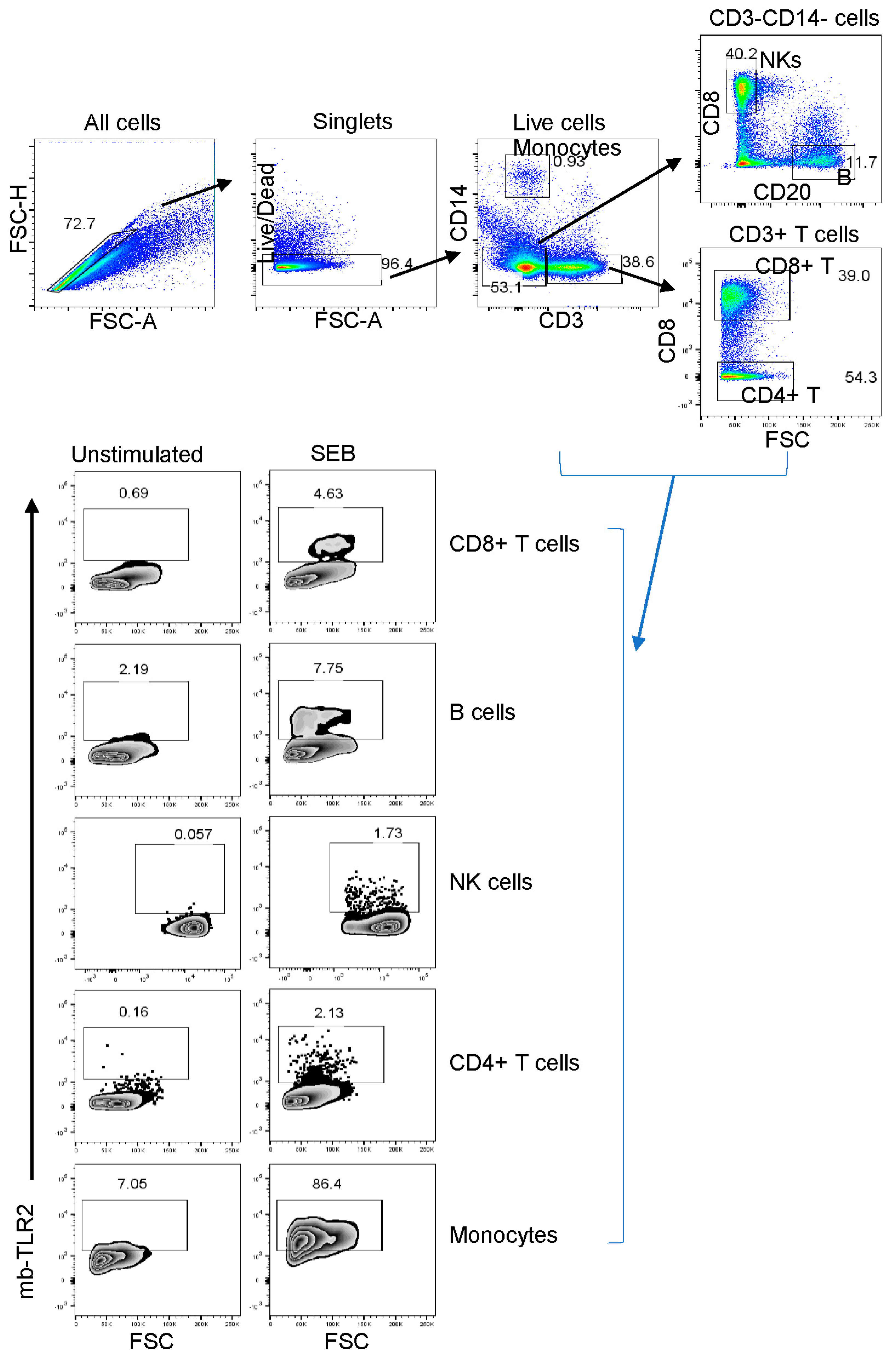 Vaccines 11 01861 g005 Vaccines 11 01861 g005