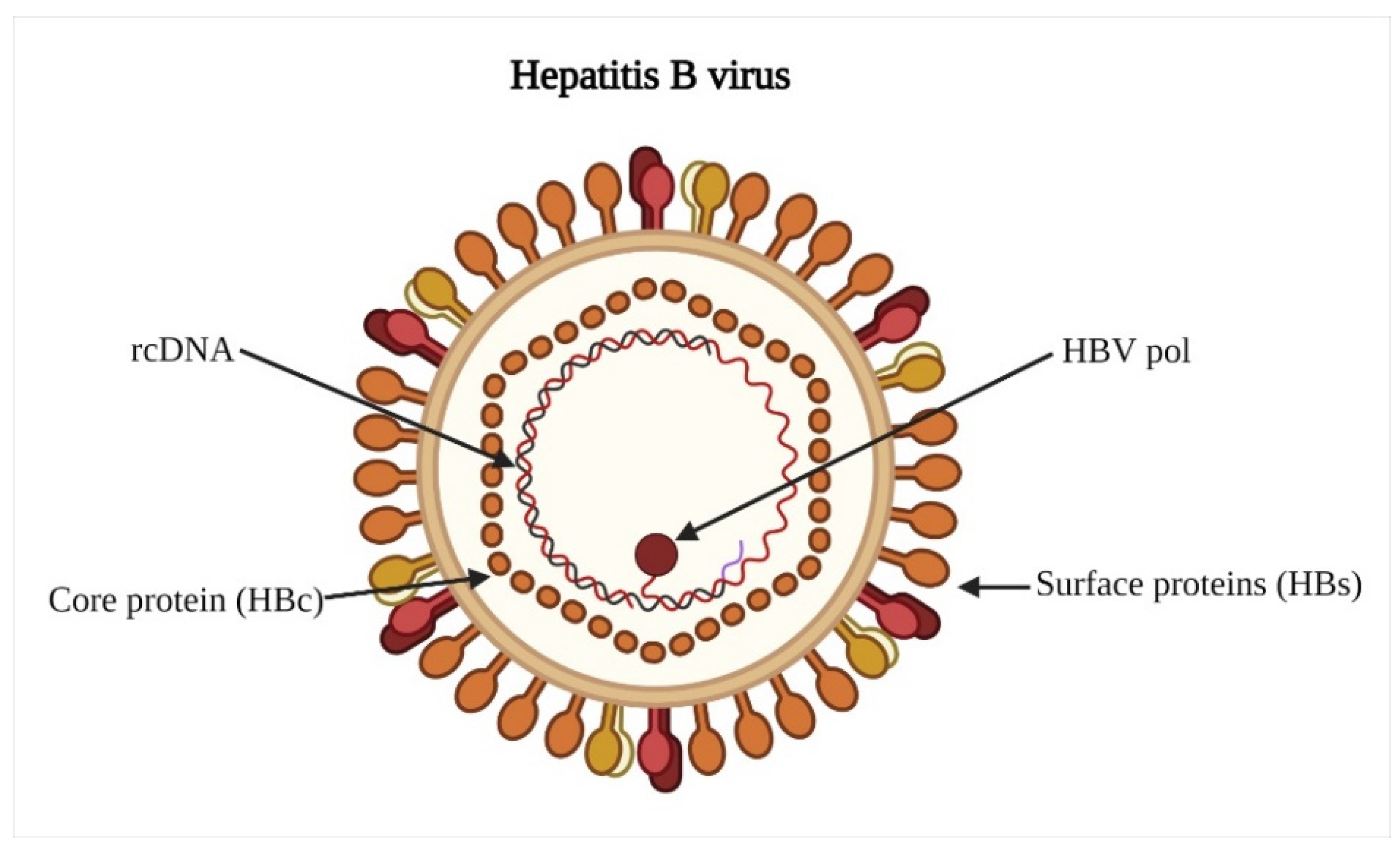 Vaccines 11 01862 g002 Vaccines 11 01862 g002