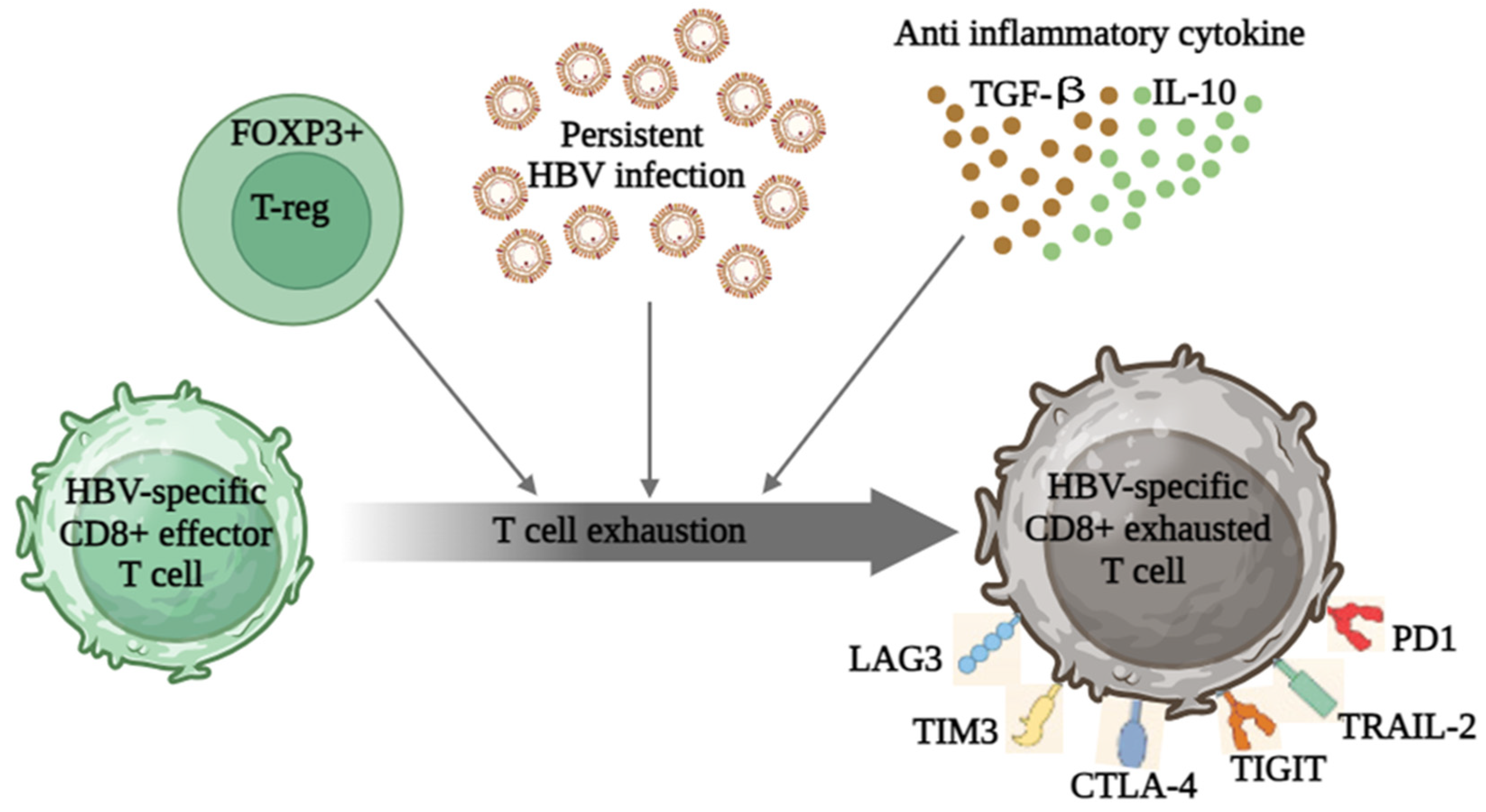 Vaccines 11 01862 g003 Vaccines 11 01862 g003