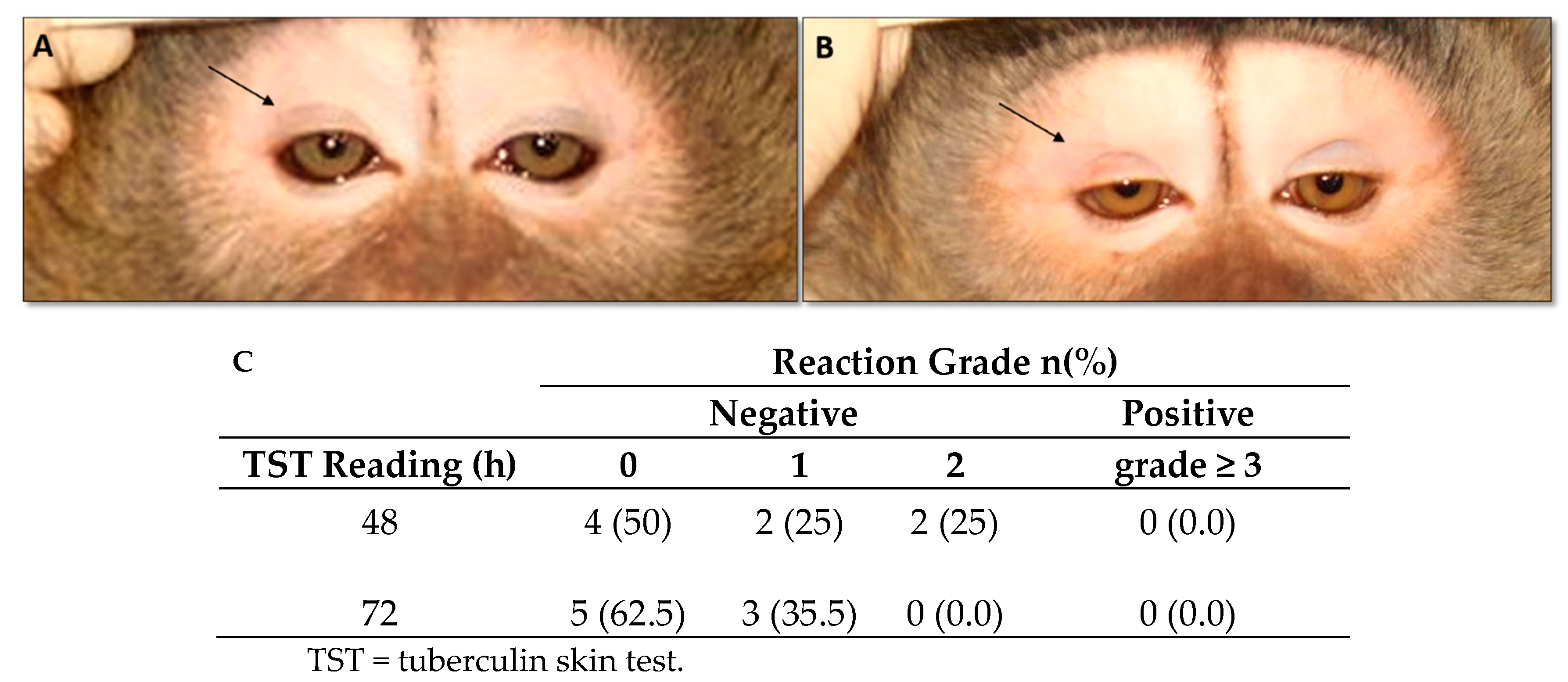 Vaccines 11 01863 g002