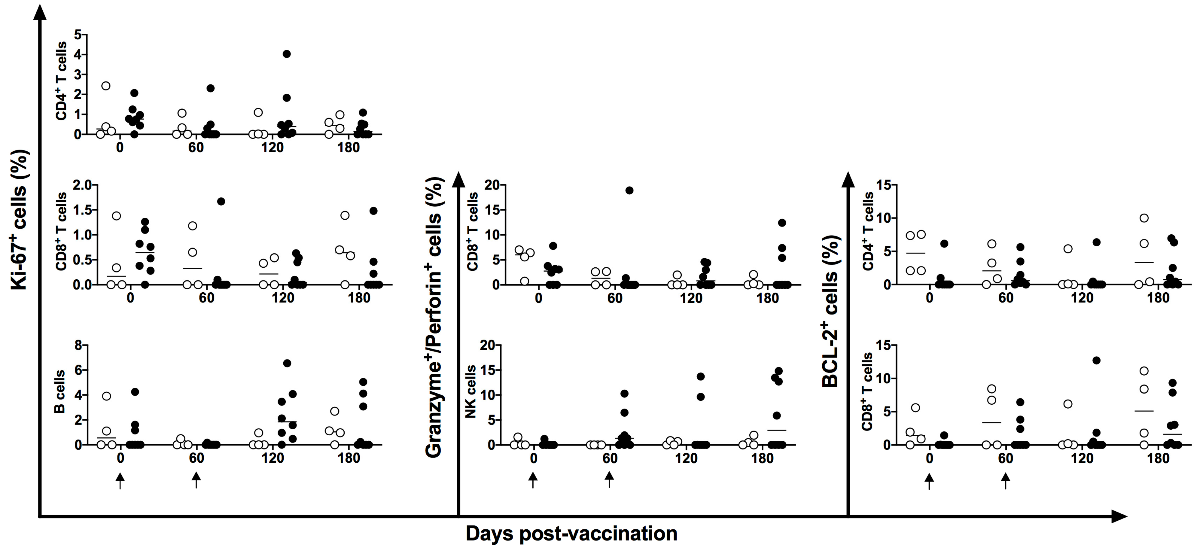Vaccines 11 01863 g006
