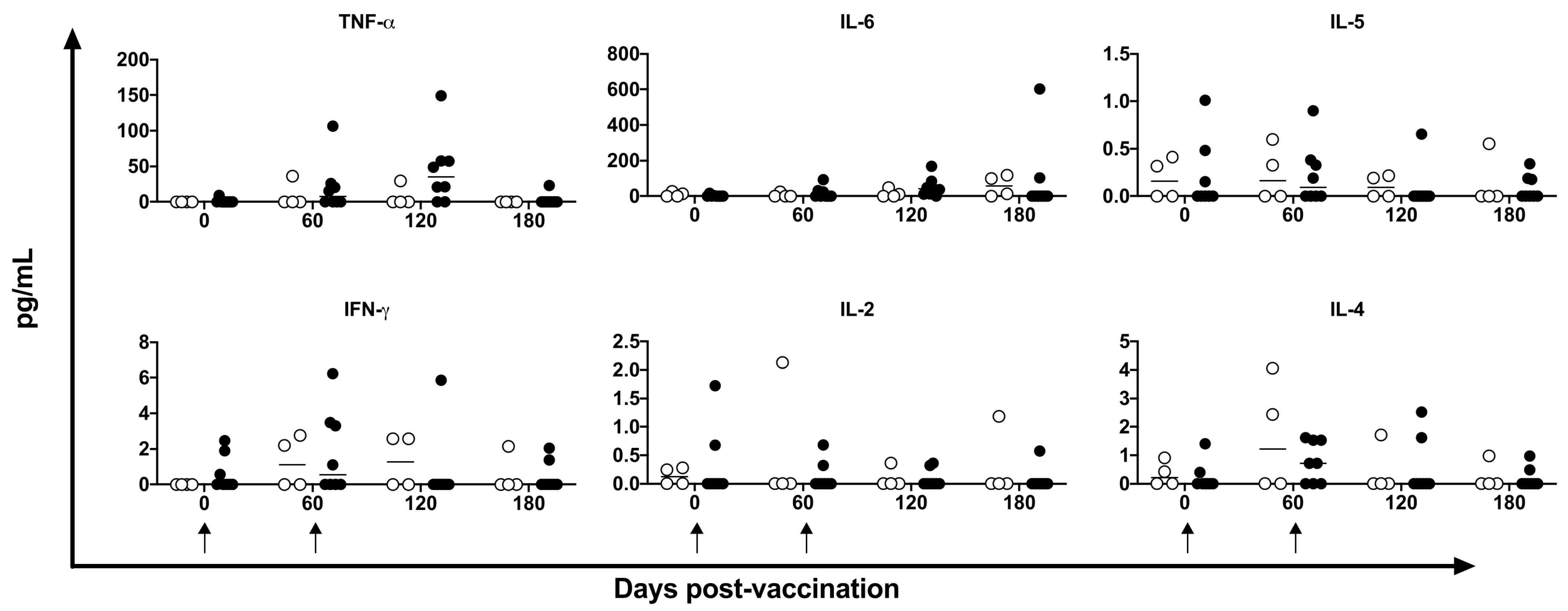 Vaccines 11 01863 g008