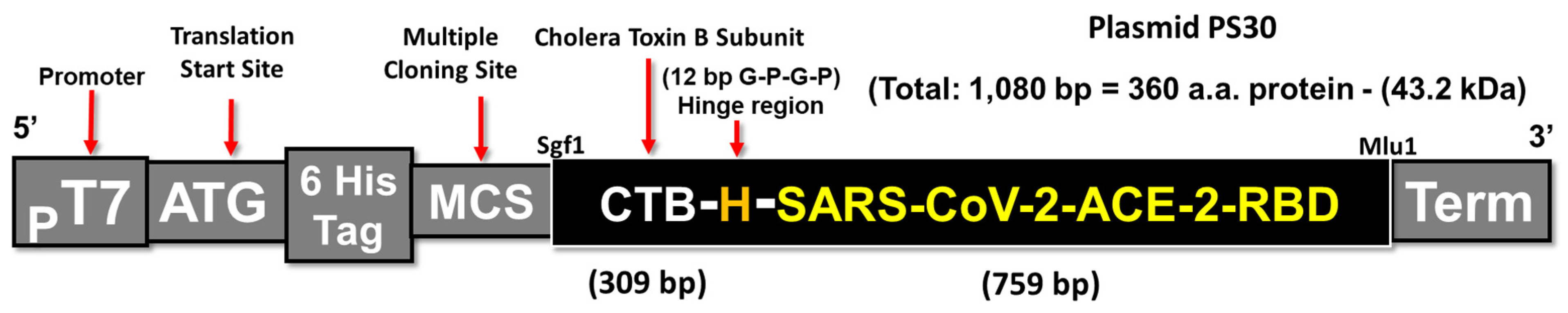 Vaccines 11 01865 g001