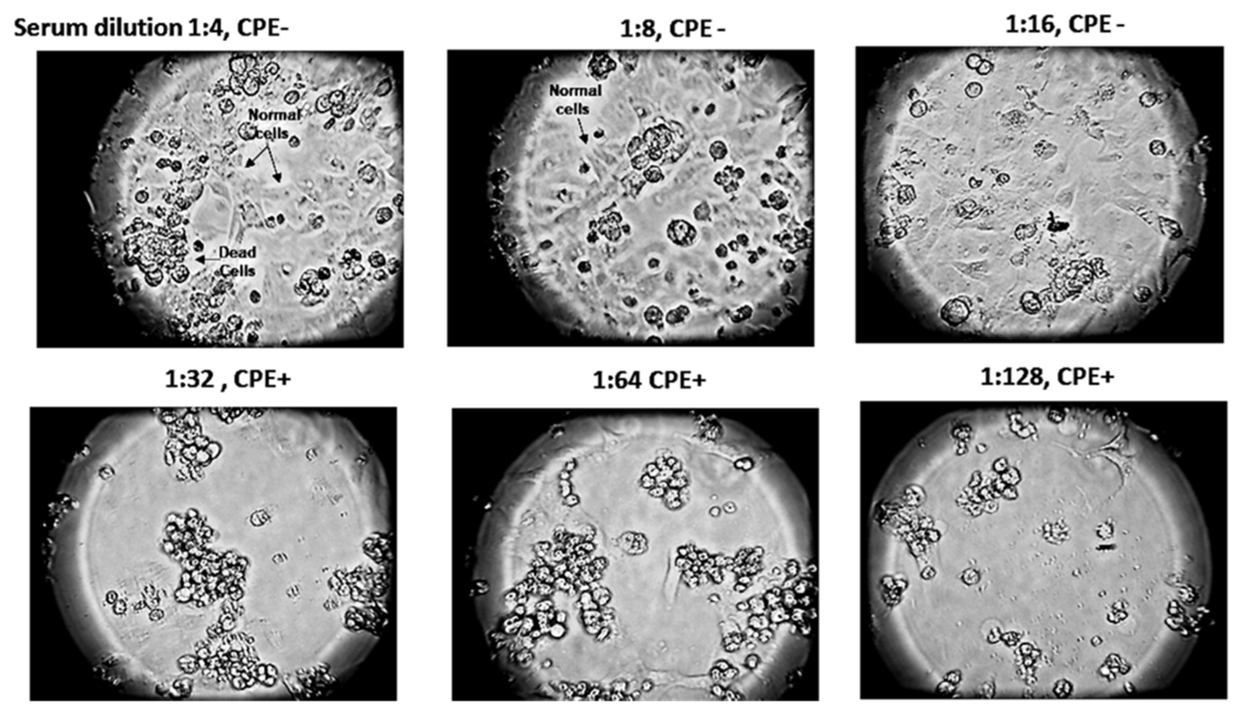 Vaccines 11 01865 g008