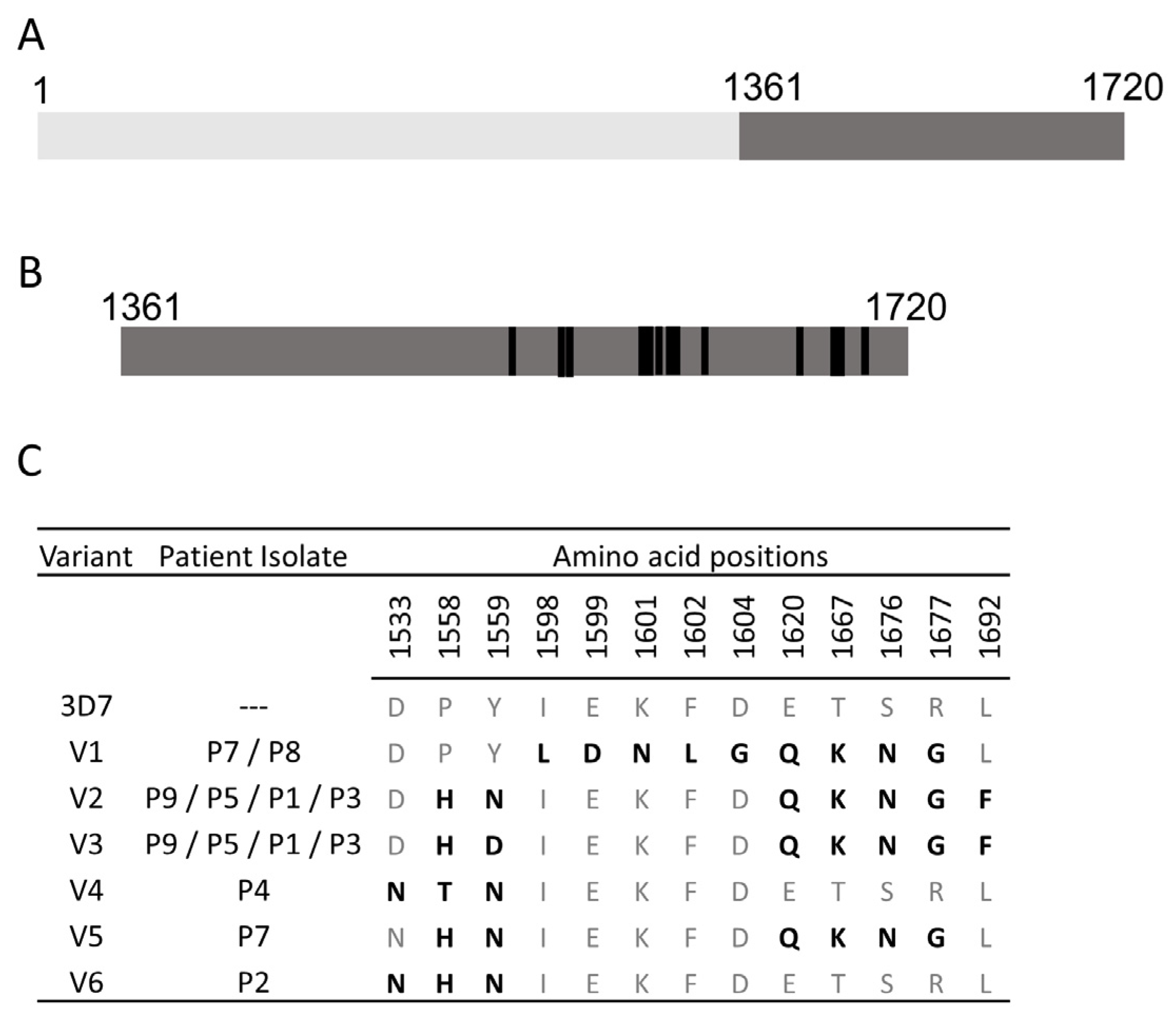 Vaccines 12 00001 g001