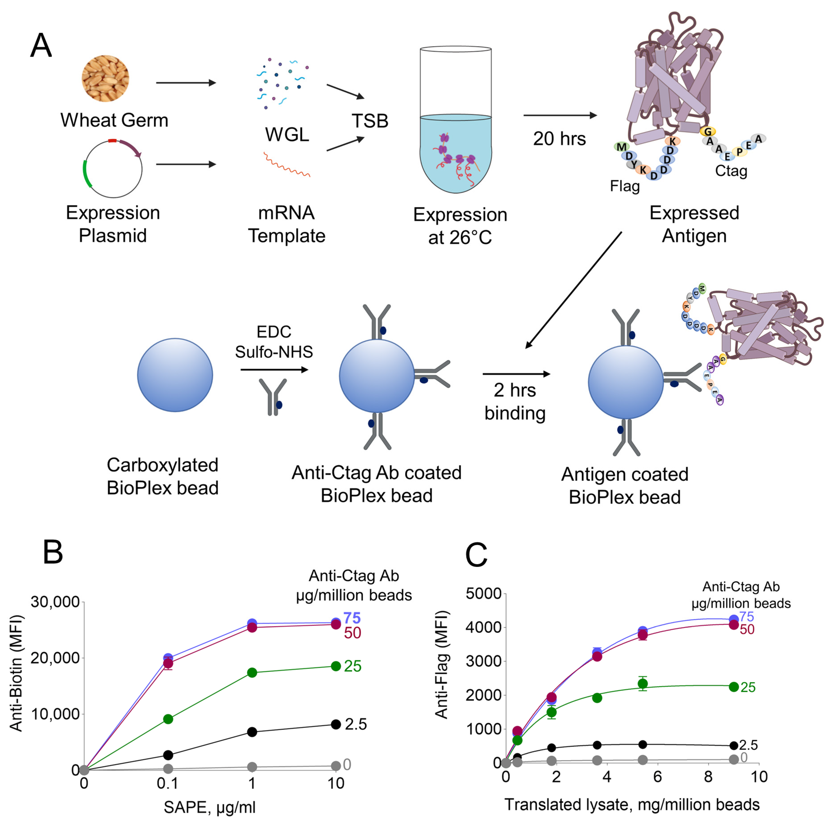 Vaccines 12 00001 g002