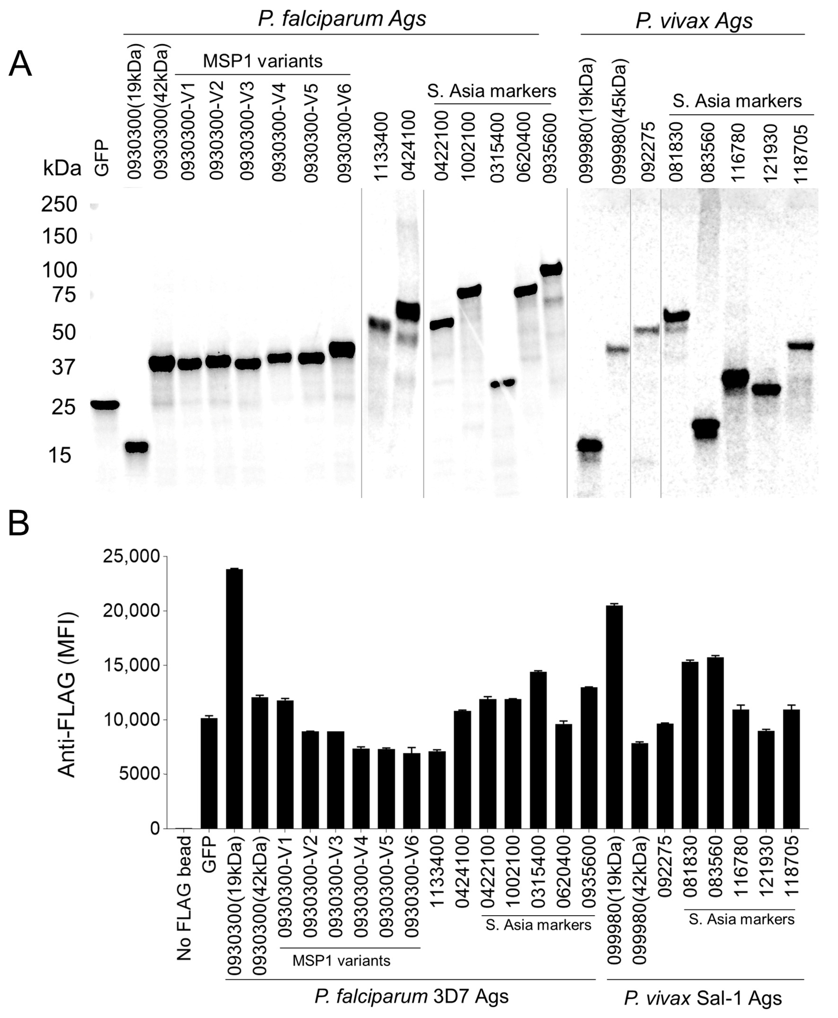 Vaccines 12 00001 g003
