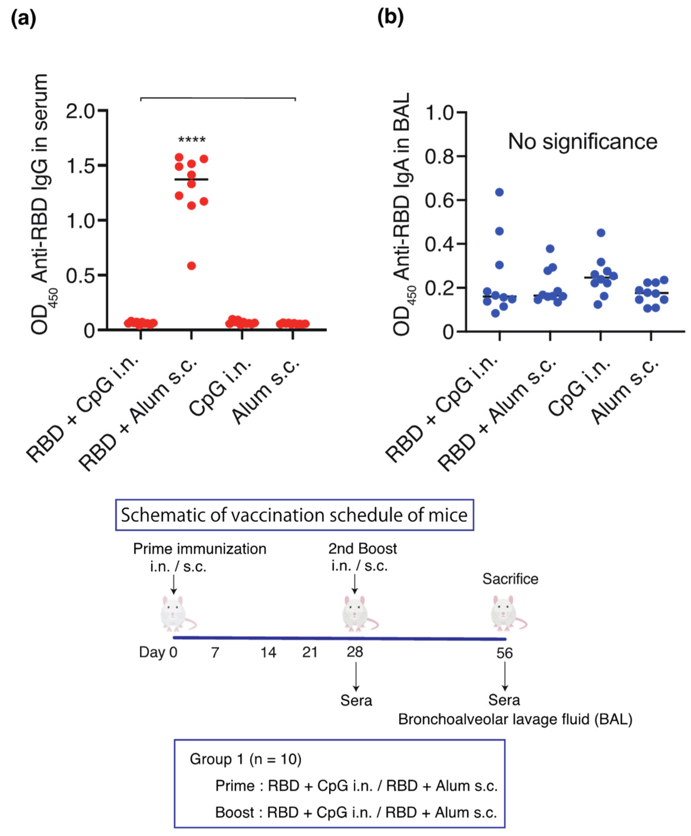 Vaccines 12 00005 g001